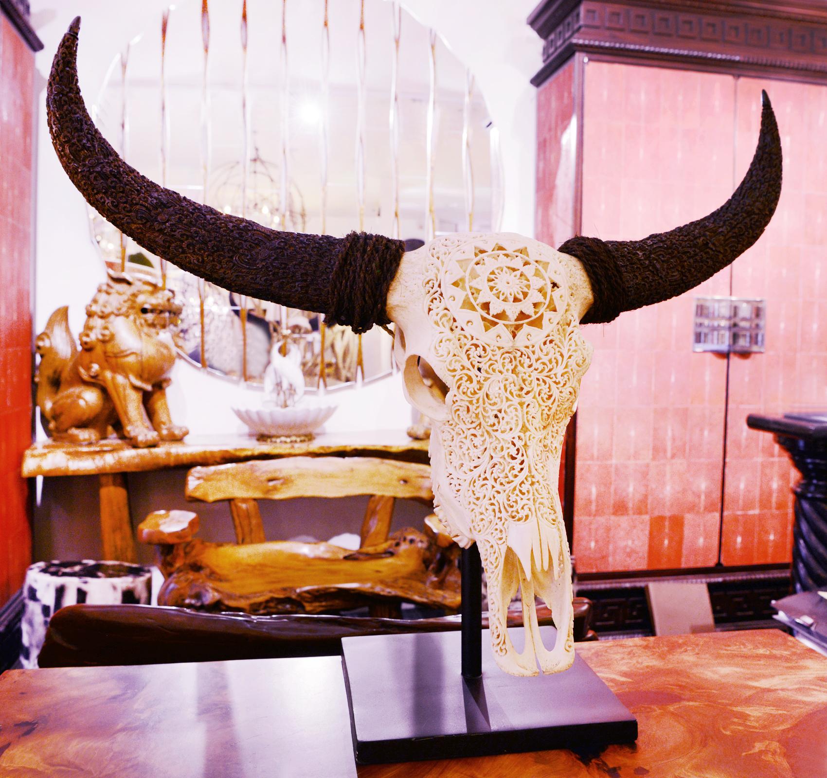 French Buffalo Skull Hand-Carved Star Sculpture