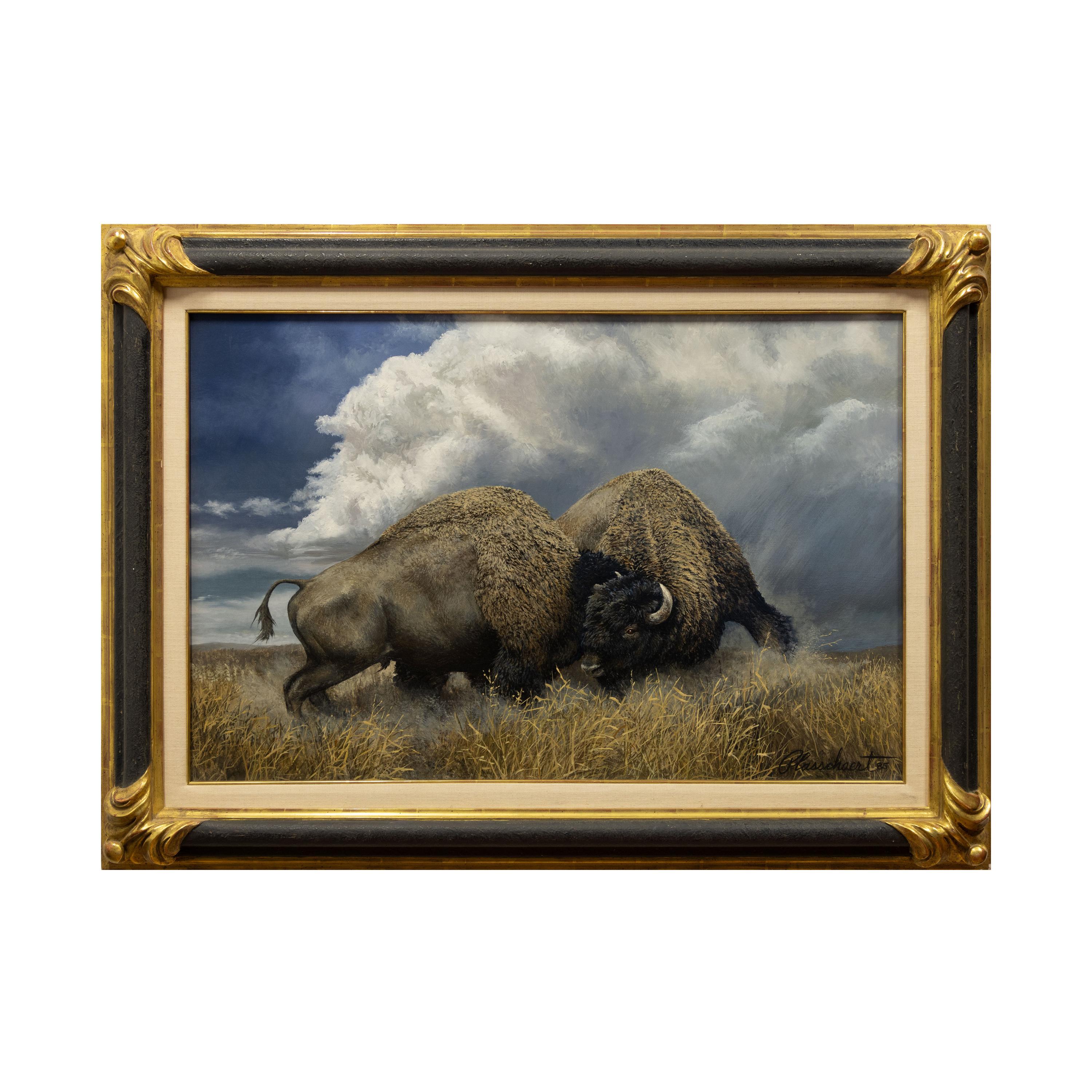 "Buffalo Thunder" Original Oil Painting by Richard Plasschaert