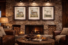 Buffon Axis Deer Prints Set of 3 – Male Female & Skeleton, 1775