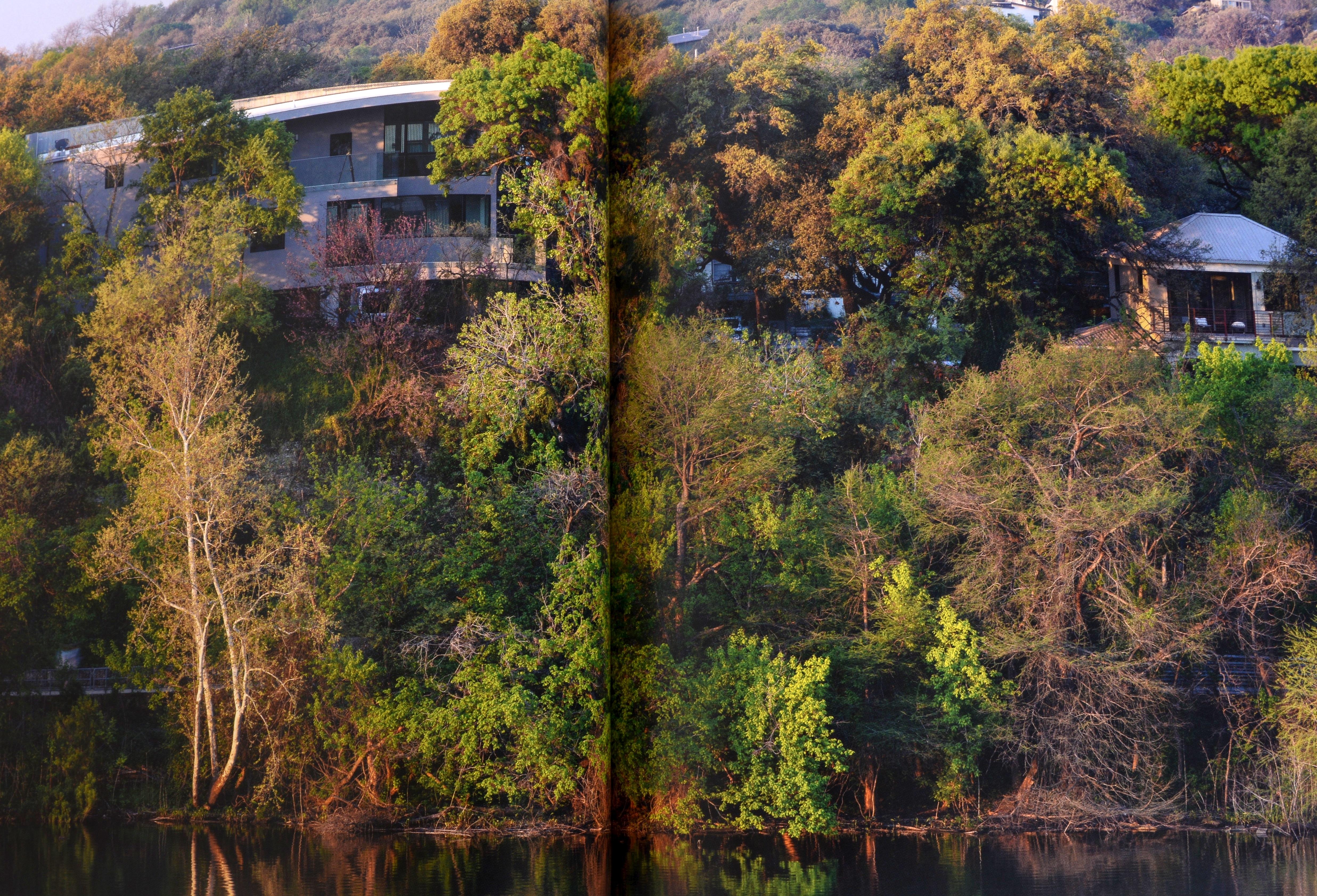Building a New Arcadia par Miro Rivera Architects en vente 4