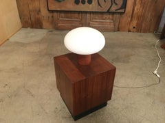 Mushroom Lamp Frosted Glass with Teak base