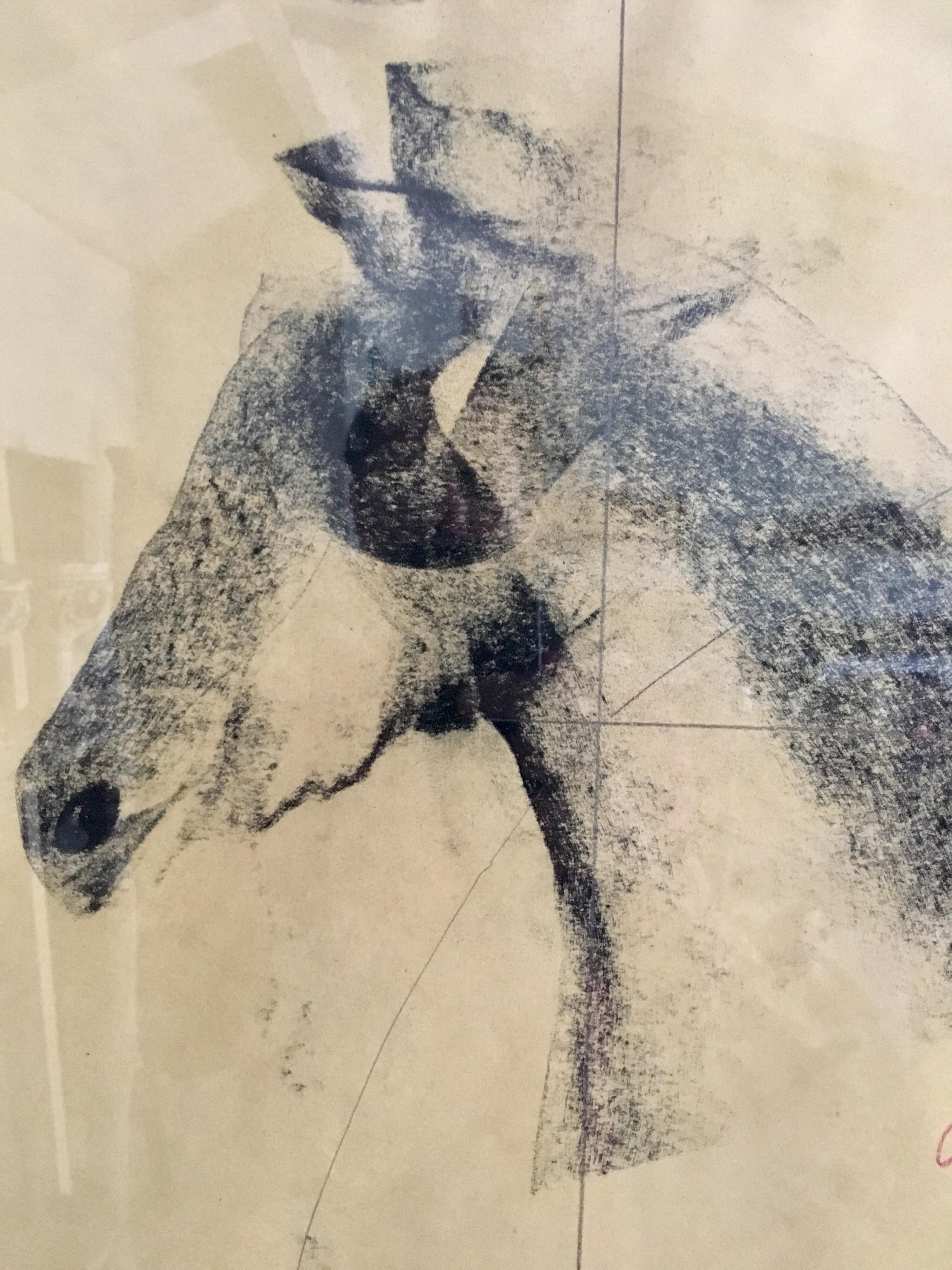 Original charcoal on paper. Study of a horse. Juan Carlos Cazares was born in Queretaro, Mexico in 1976. In 1997 he won the prize for young adults at the Queretaro Museum of Art. Juan Carlos has continually exhibited in San Miguel Allende,