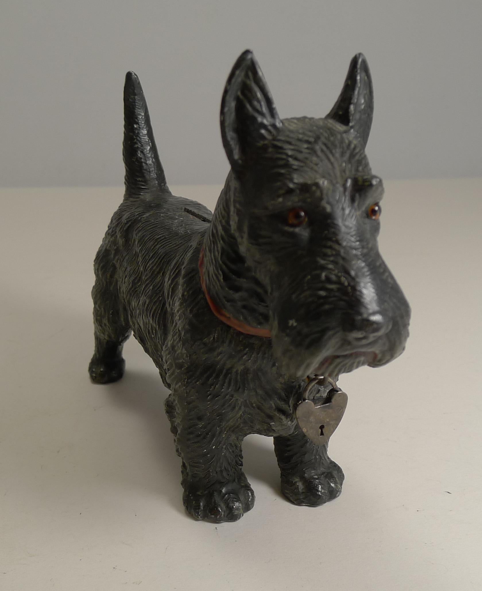 A charming and highly collectable Scottie dog money box or bank.

Made from spelter, the dog is painted including a charming little red collar. There is a slot at the top for coins to be inserted and then can be removed from the hinged head of the