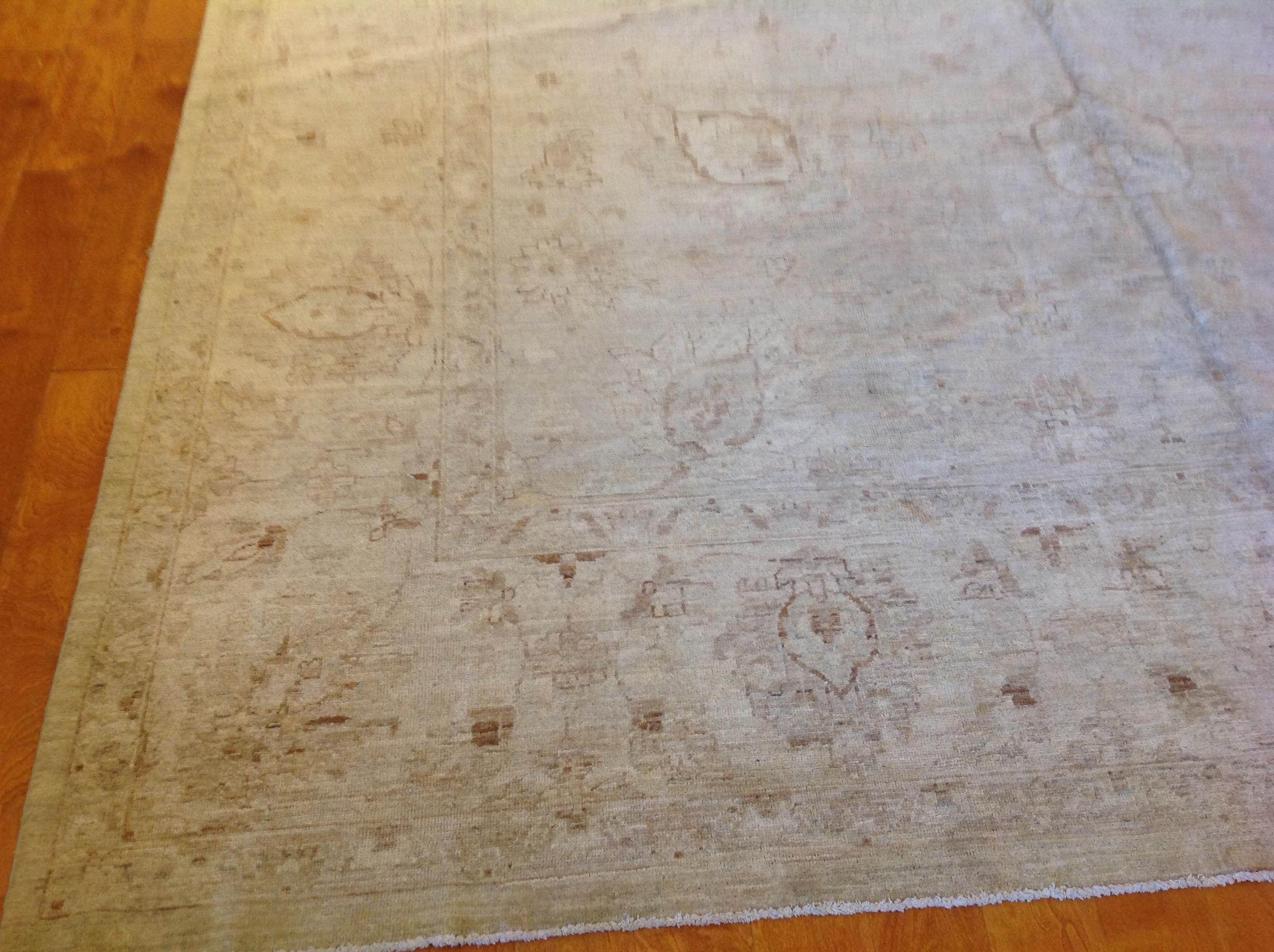 Traditional Pakistani Beige Oblong Area Rug In New Condition In Los Angeles, CA