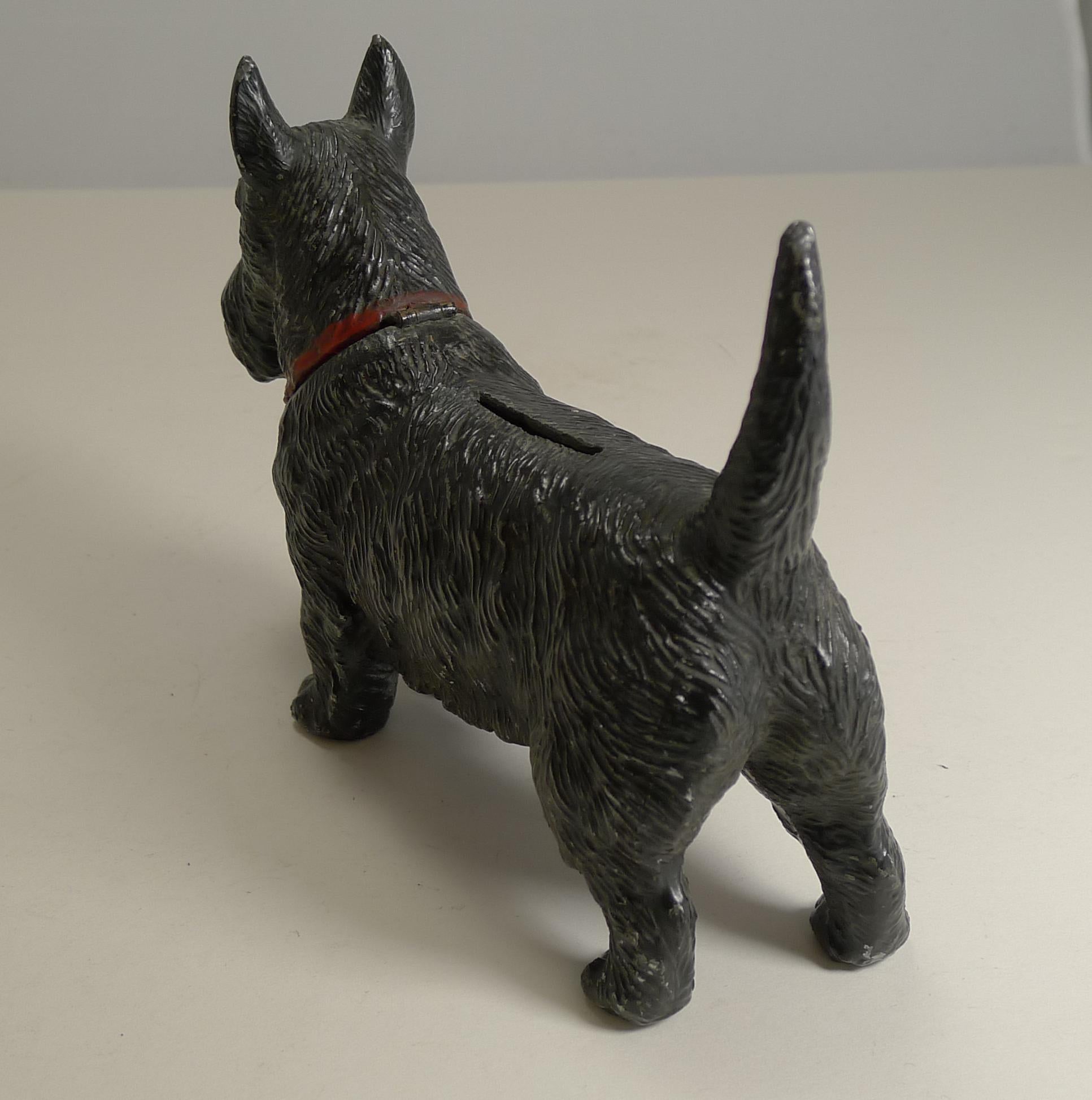 Early 20th Century Figural Money Box or Bank, Scottish Terrier, circa 1920