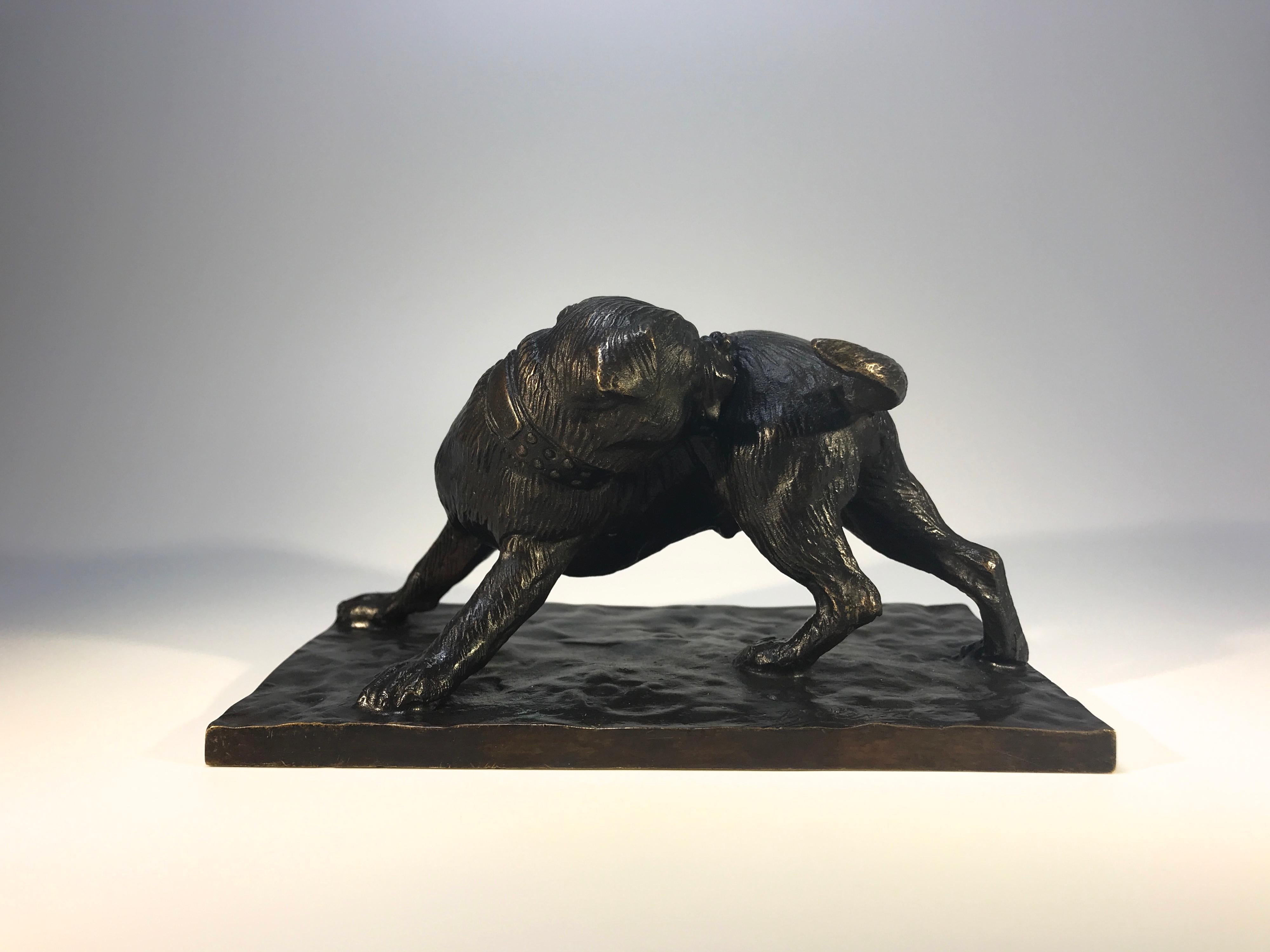 Bulldogge, die in die Flanke beißt, gegossene und patinierte Bronzefigur auf einem rechteckigen Sockel. Signiert und datiert 