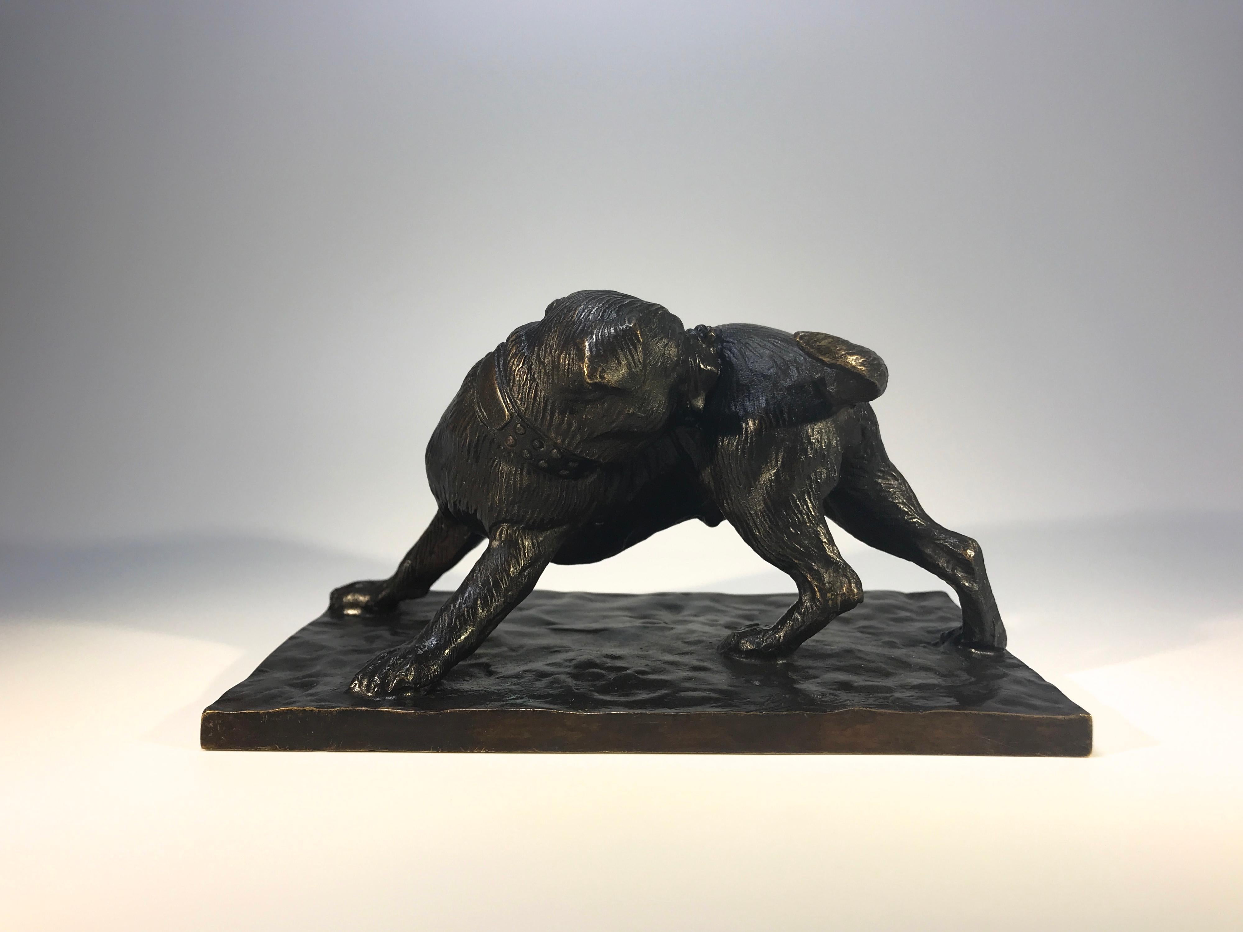 Bouledogue mordant dans le flanc, figure en bronze coulé et patiné sur un socle rectangulaire. Signé et daté 