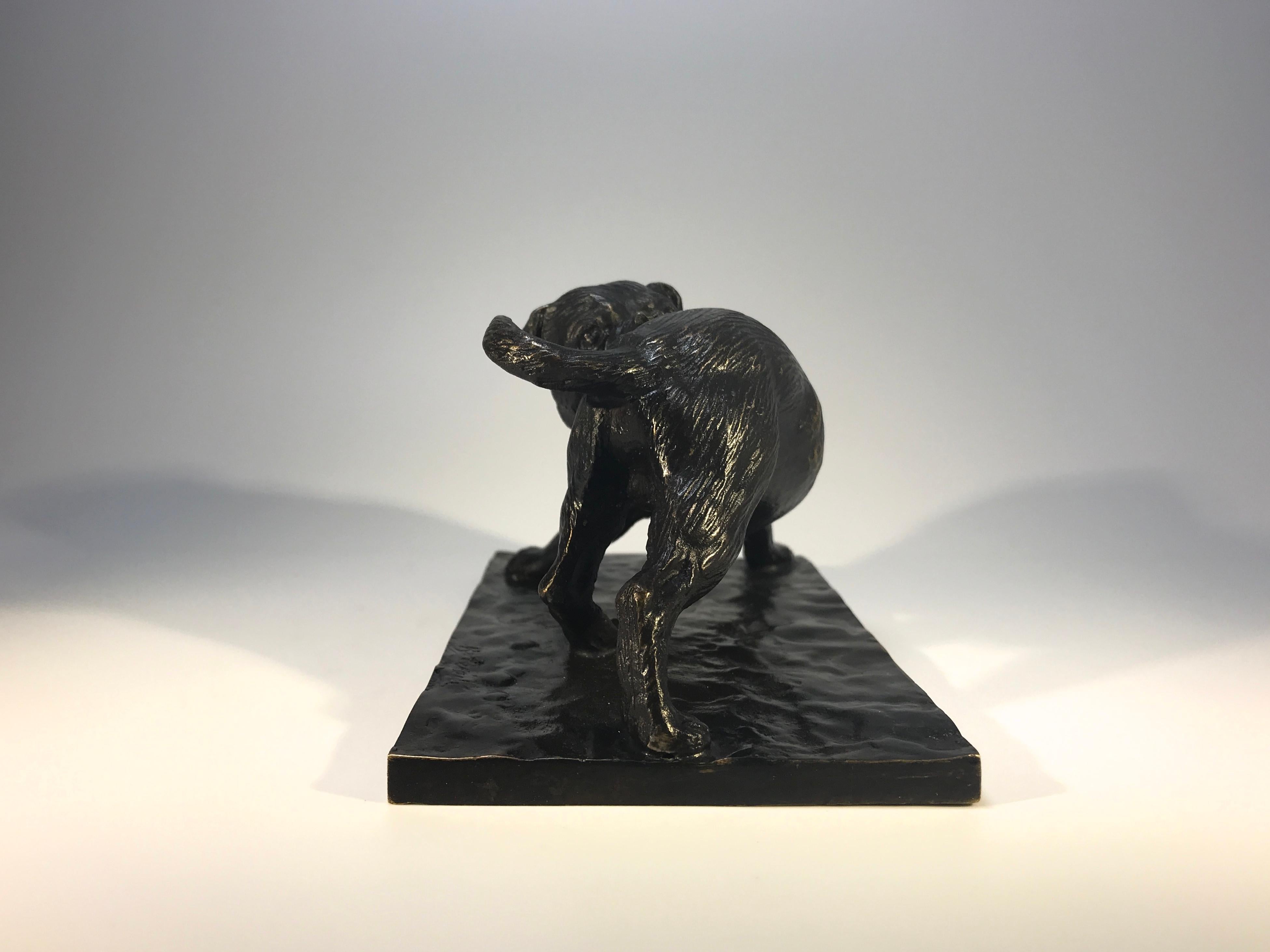 Bulldogge, Biting into the Flank, patinierte Bronze, signiert Bezeredi 1887 Budapest im Zustand „Hervorragend“ im Angebot in Rothley, Leicestershire