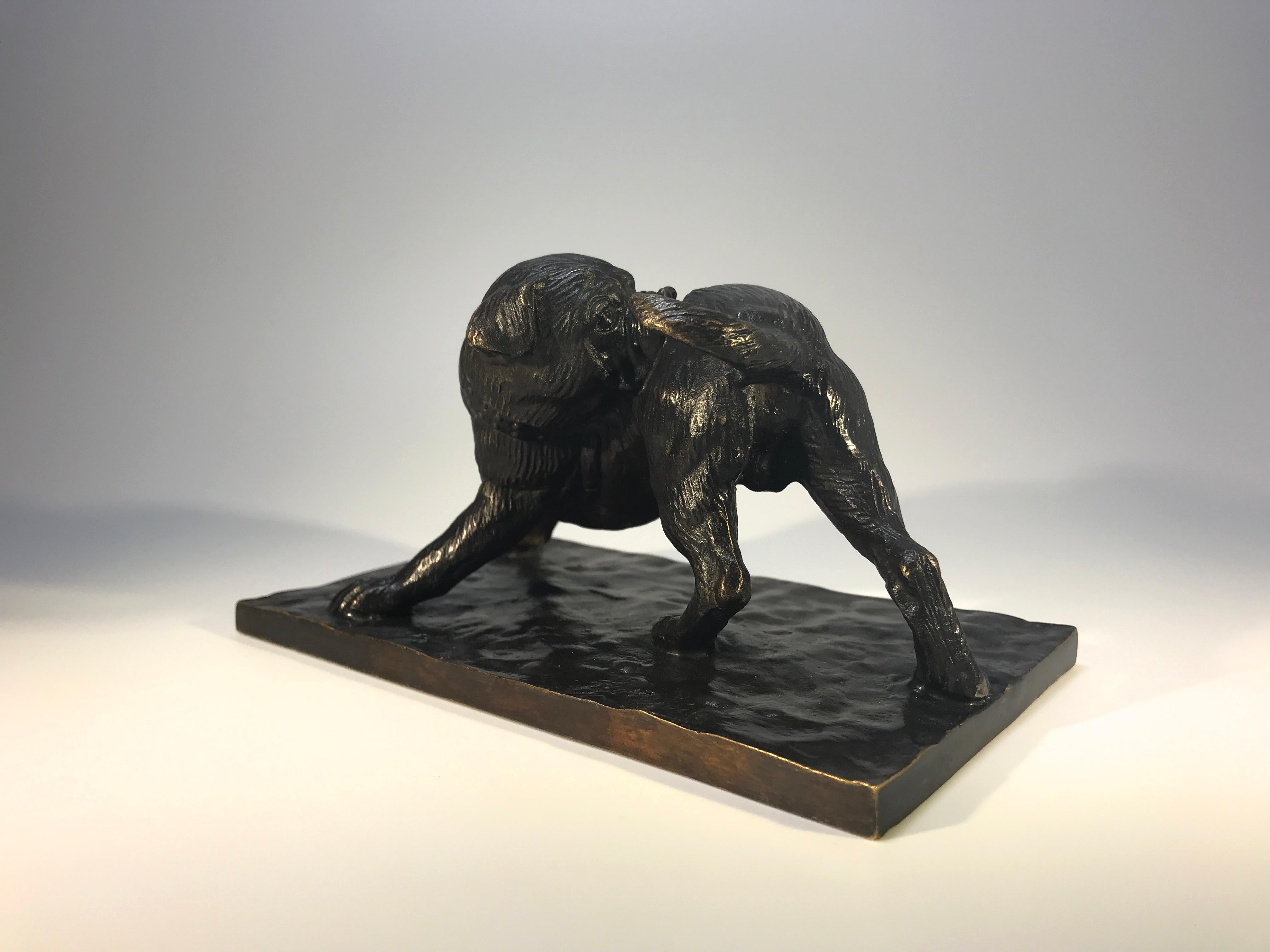 Fin du XIXe siècle Équitation d'un bulldog dans le arrière, bronze patiné signé Bezeredi 1887 Budapest en vente