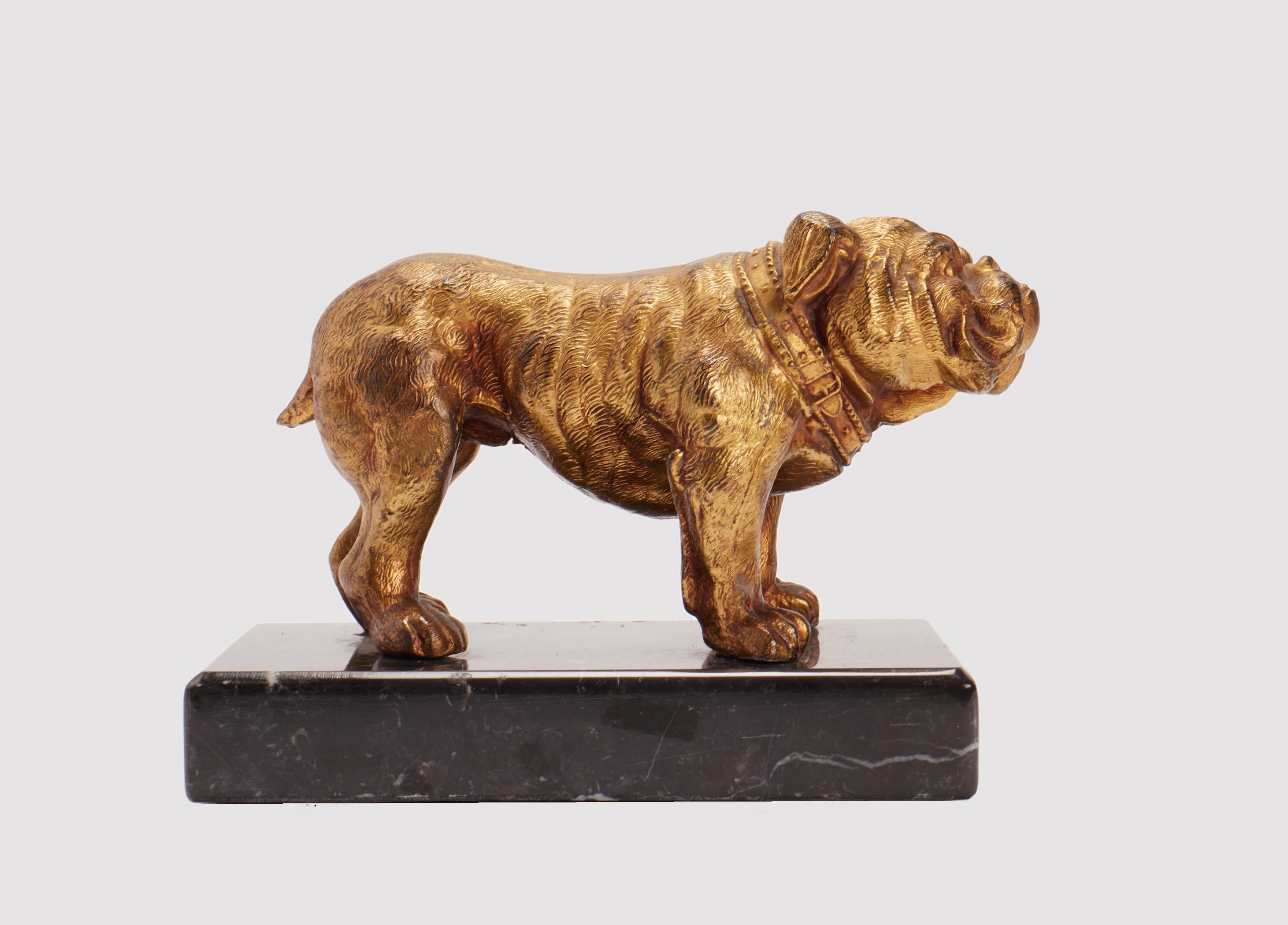Goldene Metallskulptur aus Antimon, die eine englische Bulldogge darstellt, montiert auf einem Sockel aus geädertem schwarzem Marmor. Signiert J. B. America um 1890.
