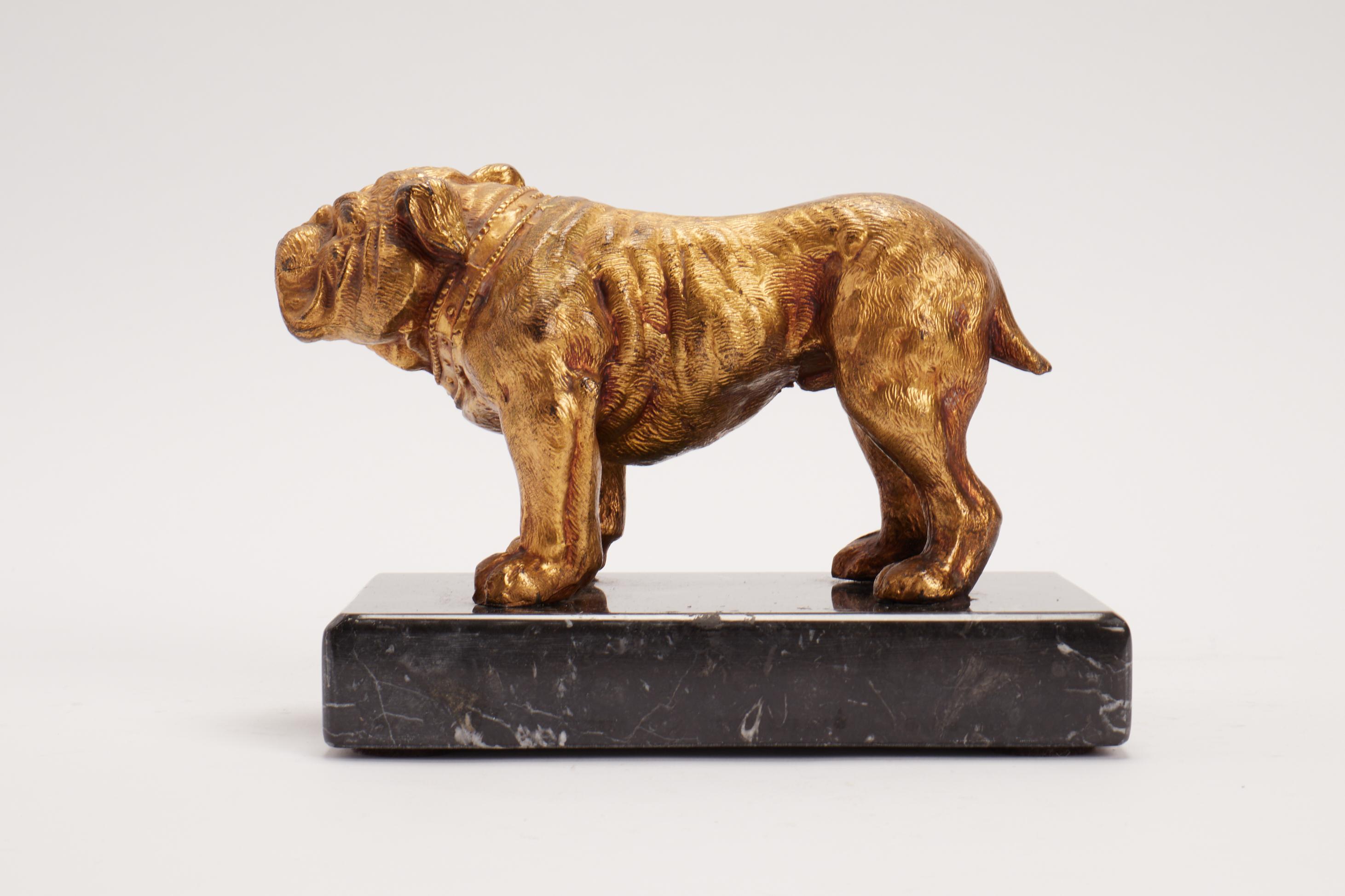 Bulldog dog sculpture signed J.B. Made in America late 19th century.  In Good Condition For Sale In Milan, IT