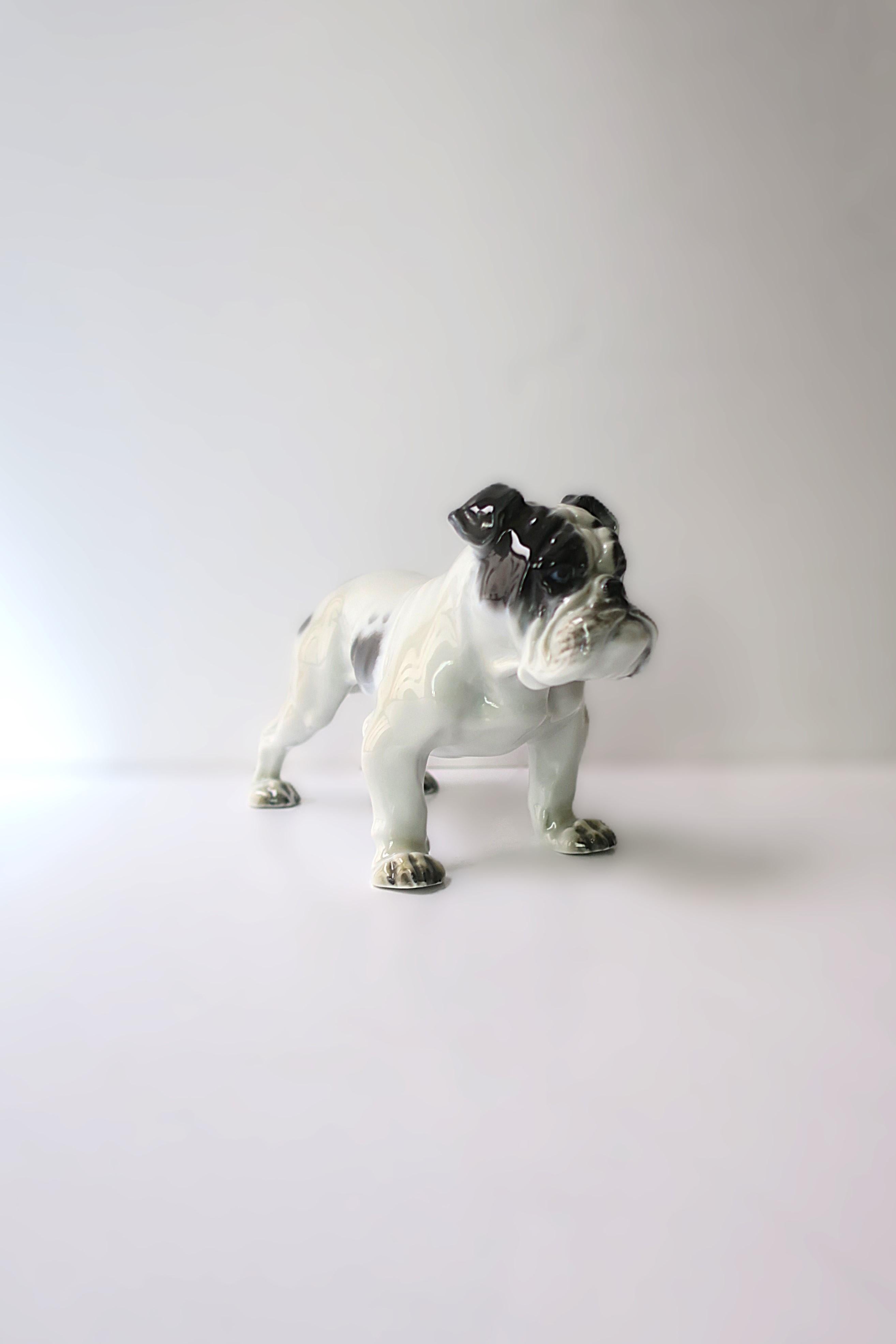 Bulldog de Fritz Diller en venta 3