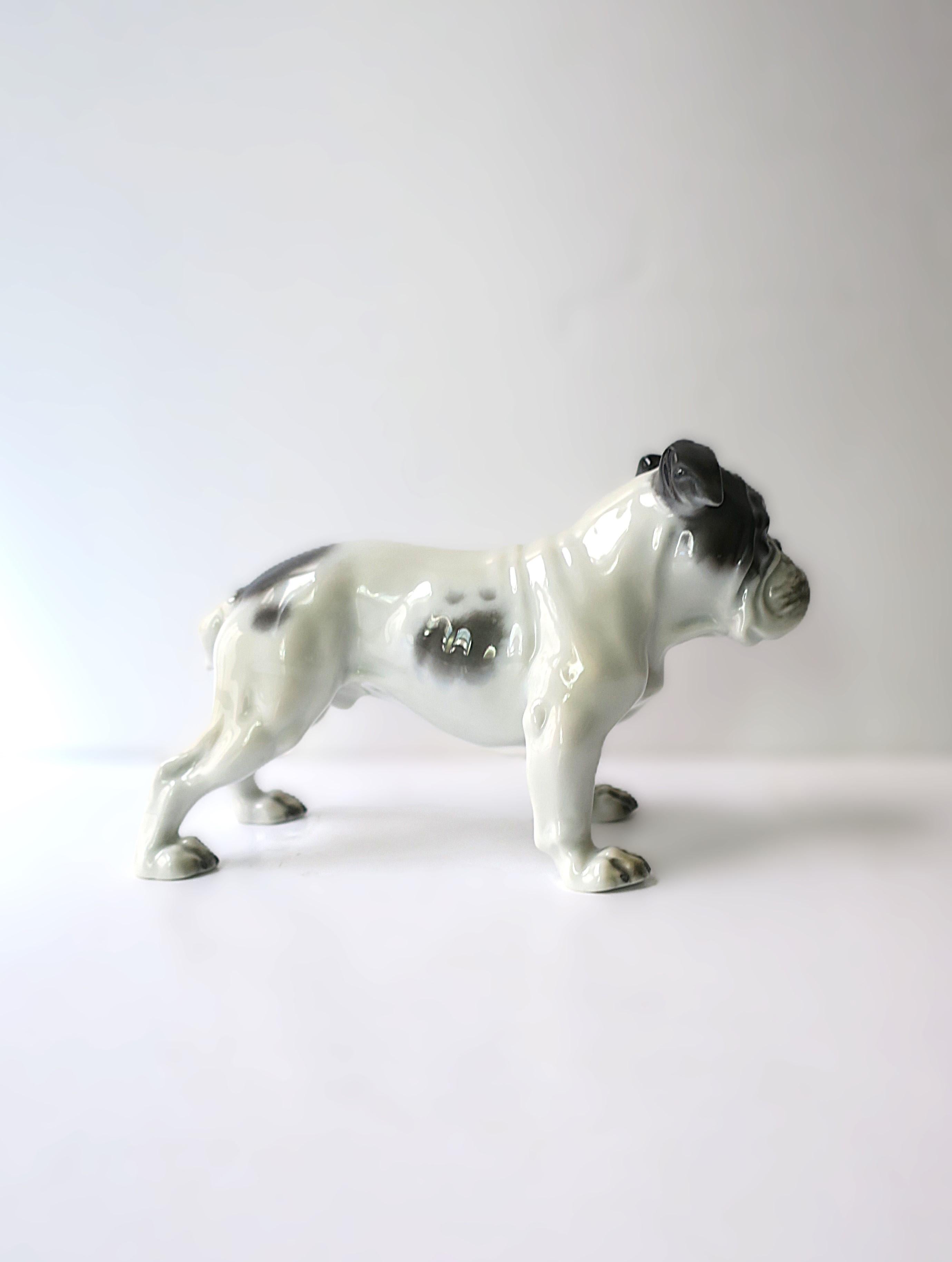 Bulldog de Fritz Diller en venta 4