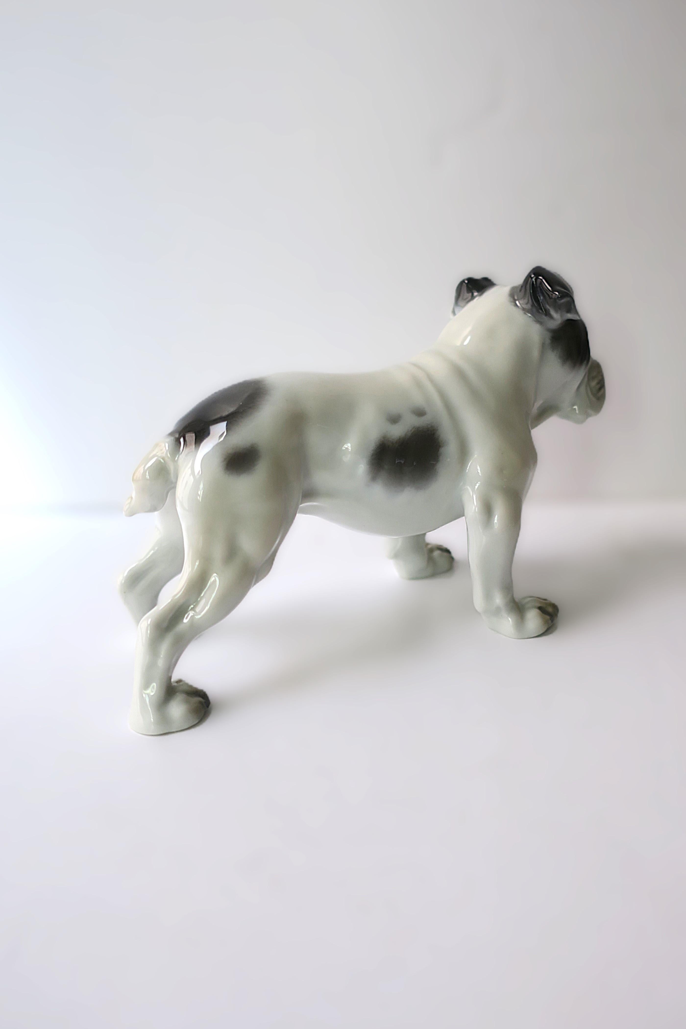 Bulldog de Fritz Diller en venta 5