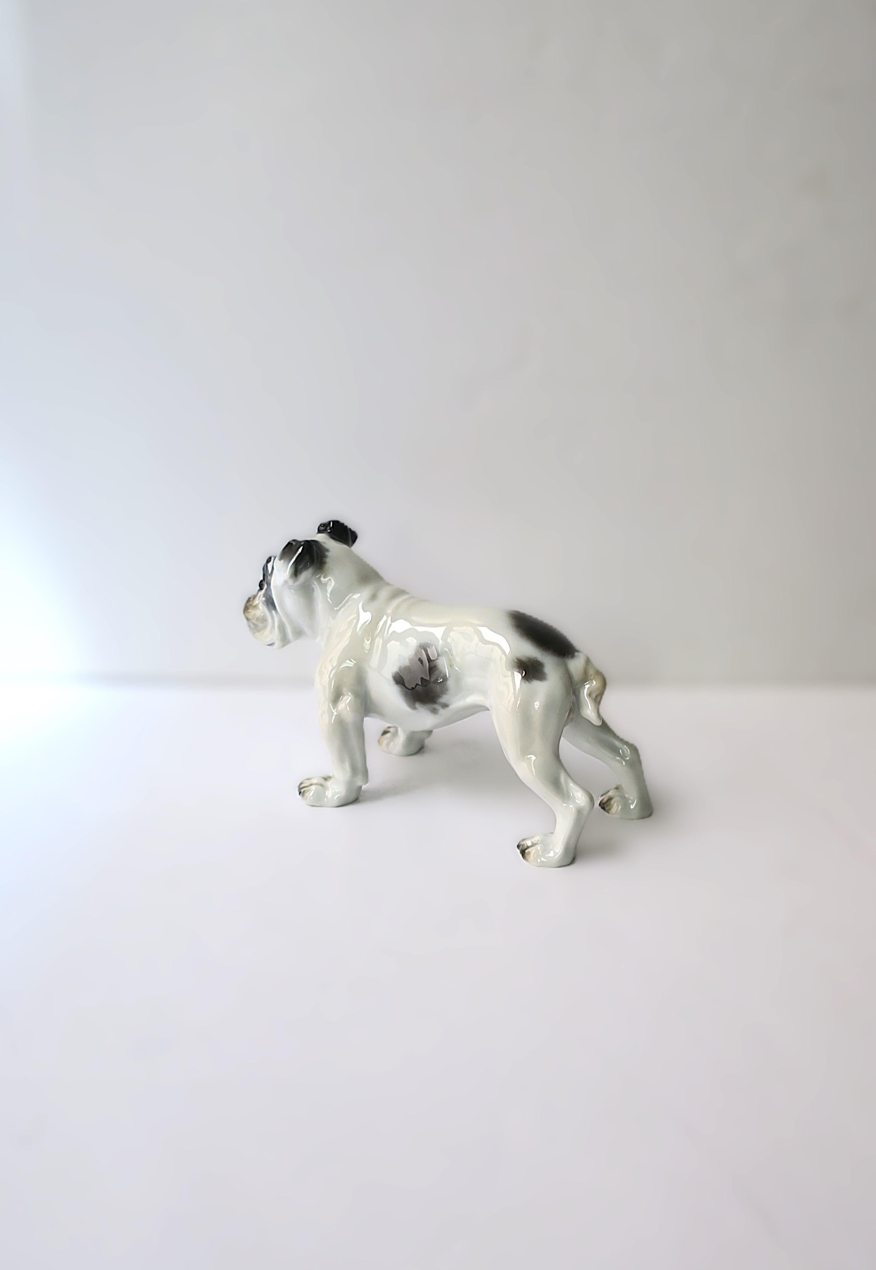 Bulldog de Fritz Diller en venta 7