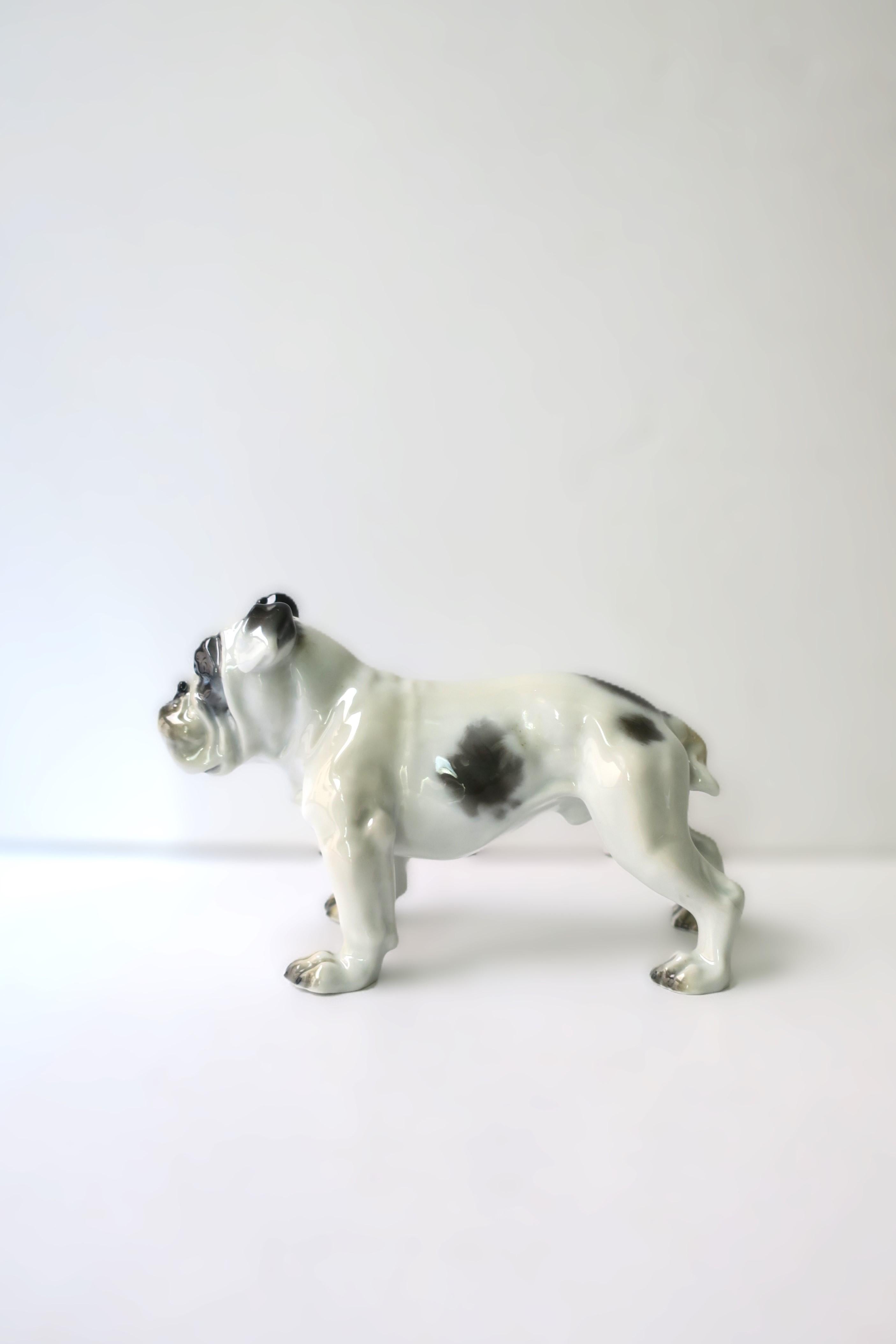 Preciosa y detallada escultura de bulldog inglés de porcelana alemana diseñada por Fritz Diller en 1914, para la Maison de porcelana, Rosenthal, hacia principios del siglo XX, Alemania. Esta escultura de bulldog inglés es de porcelana diseñada y