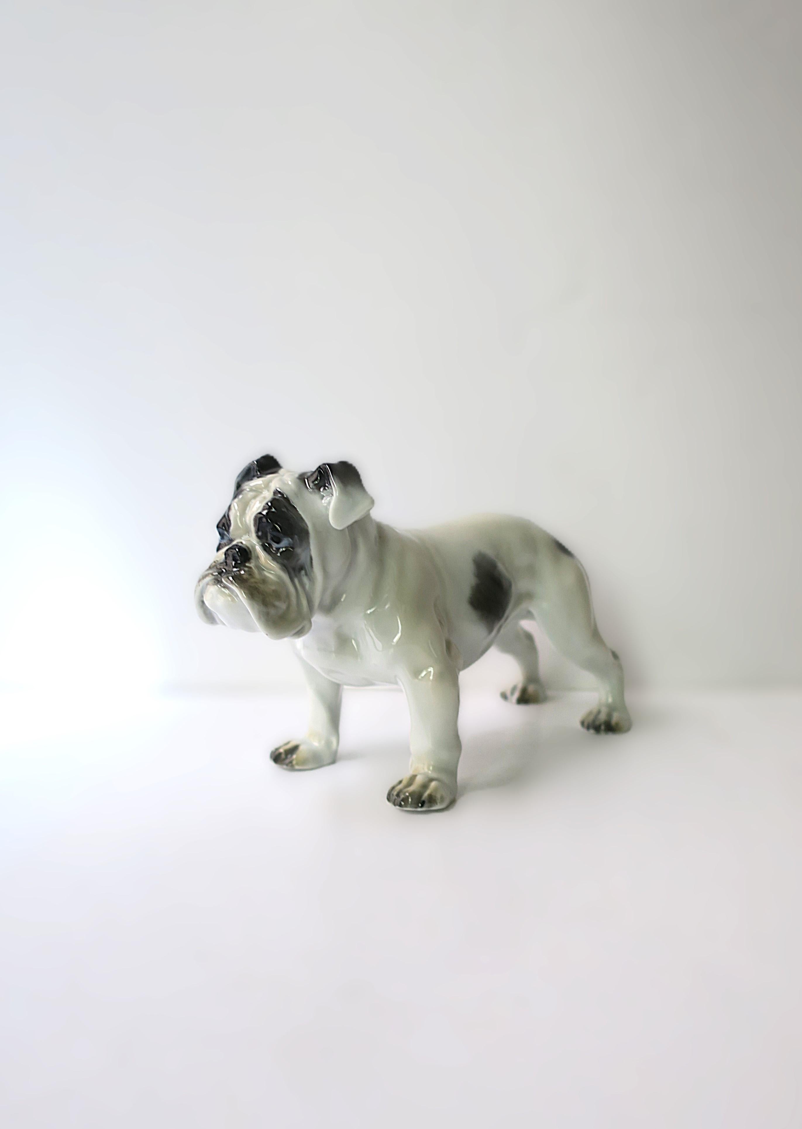 Bulldog de Fritz Diller Glaseado en venta