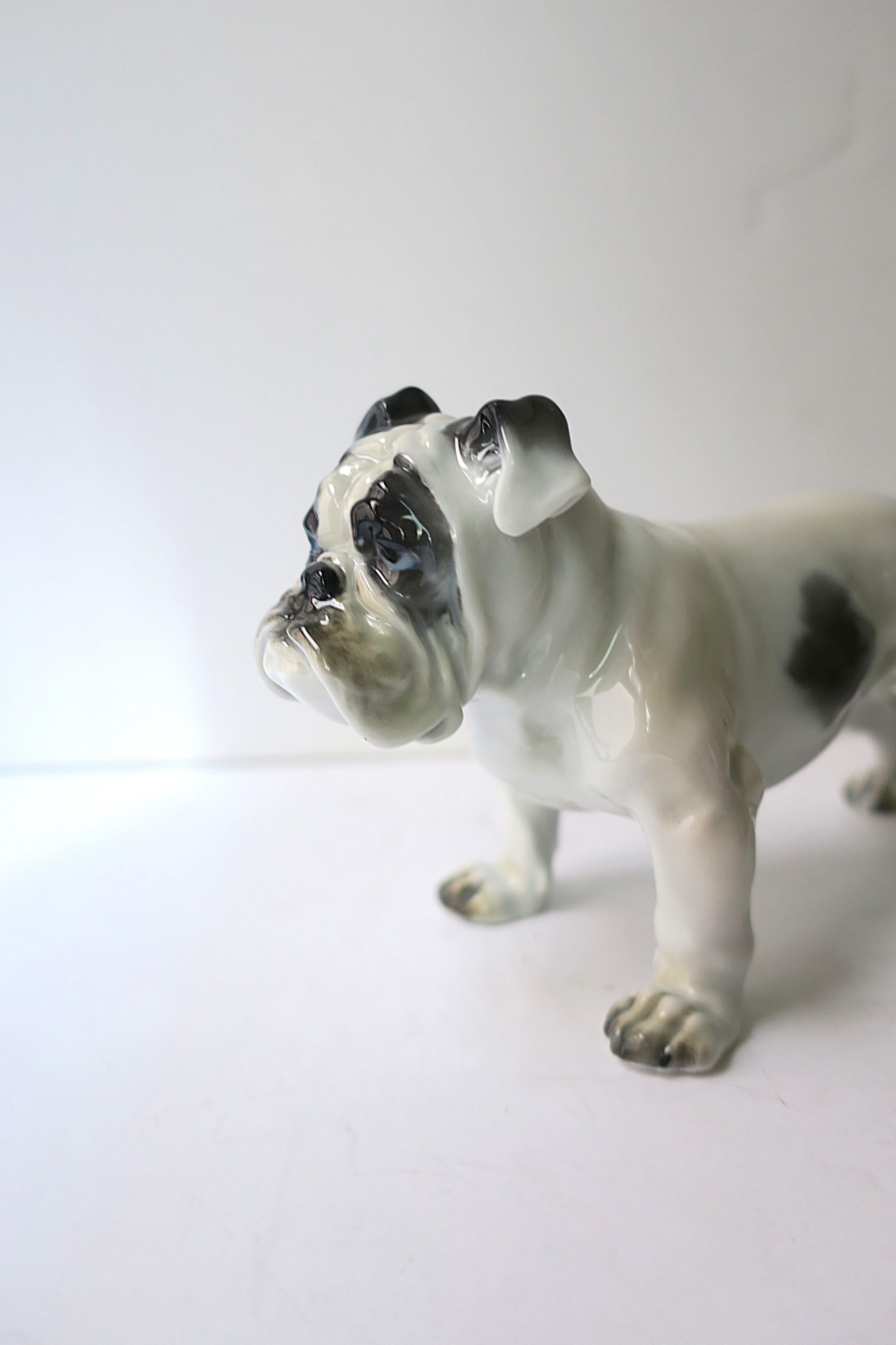 Bulldog de Fritz Diller en venta 1