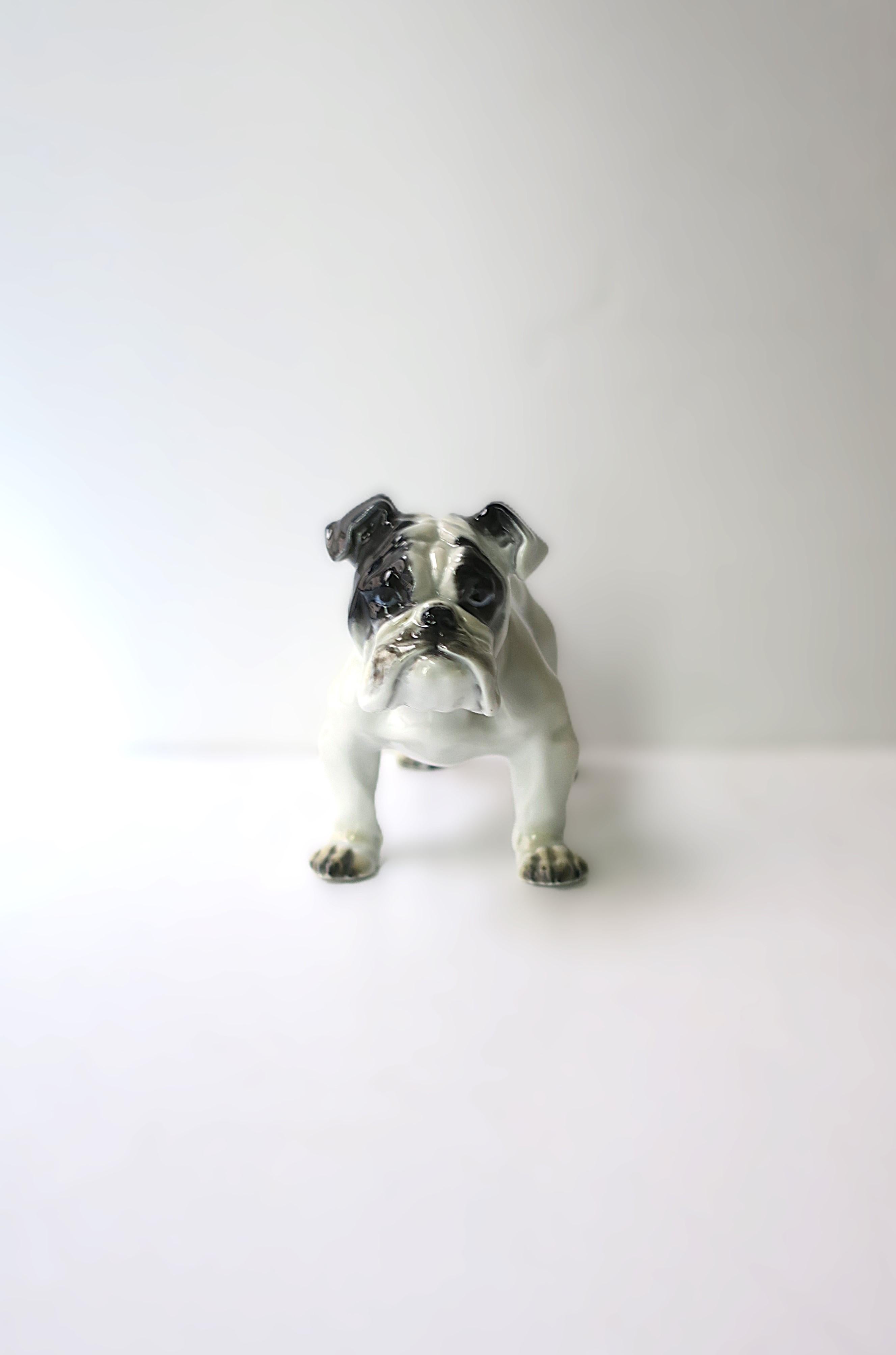 Bulldog de Fritz Diller en venta 2