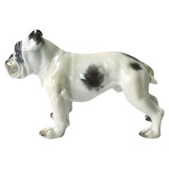 Bulldog de Fritz Diller