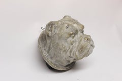 Bulldog Head Wall Mount