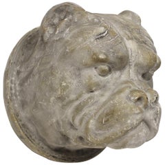 Bulldog Head Wall Mount