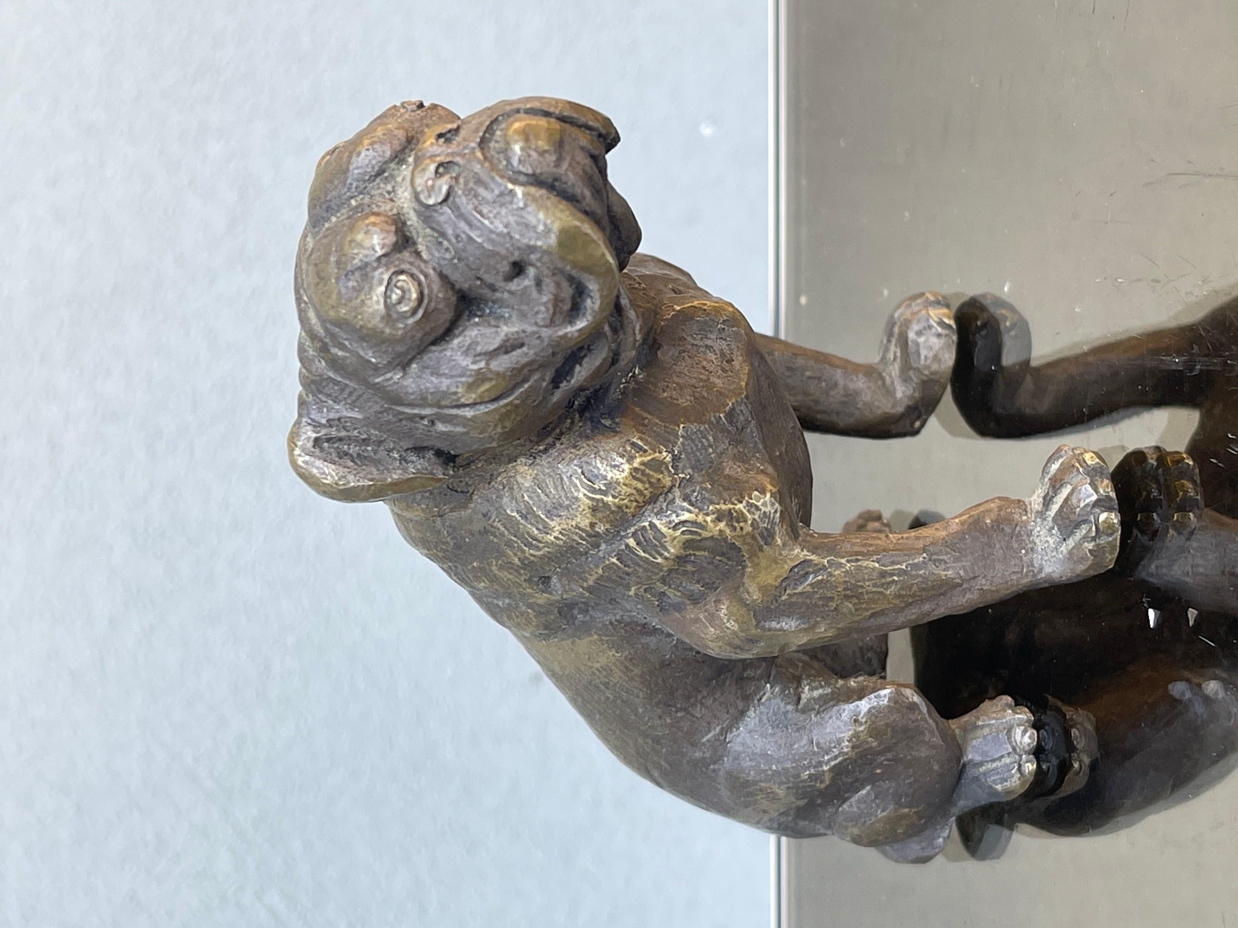 Bulldogge in Bronze - scultura bronzea - Bulldogge scultura - Hund - Vintage - xxsec (Italienisch) im Angebot