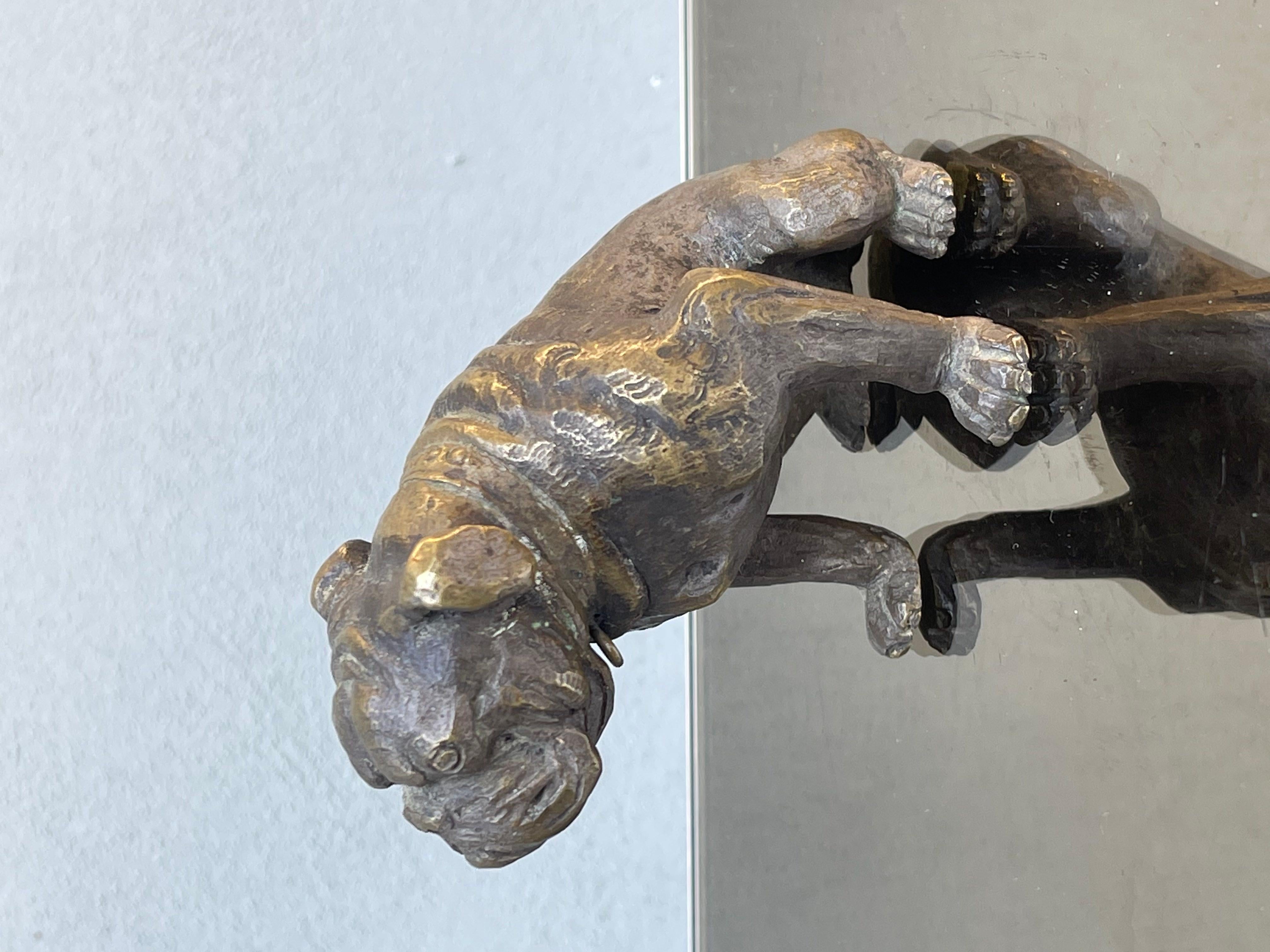 Bronze bulldog en bronze - scultura bronzea - bulldog scultura - chien - vintage - xx sec en vente
