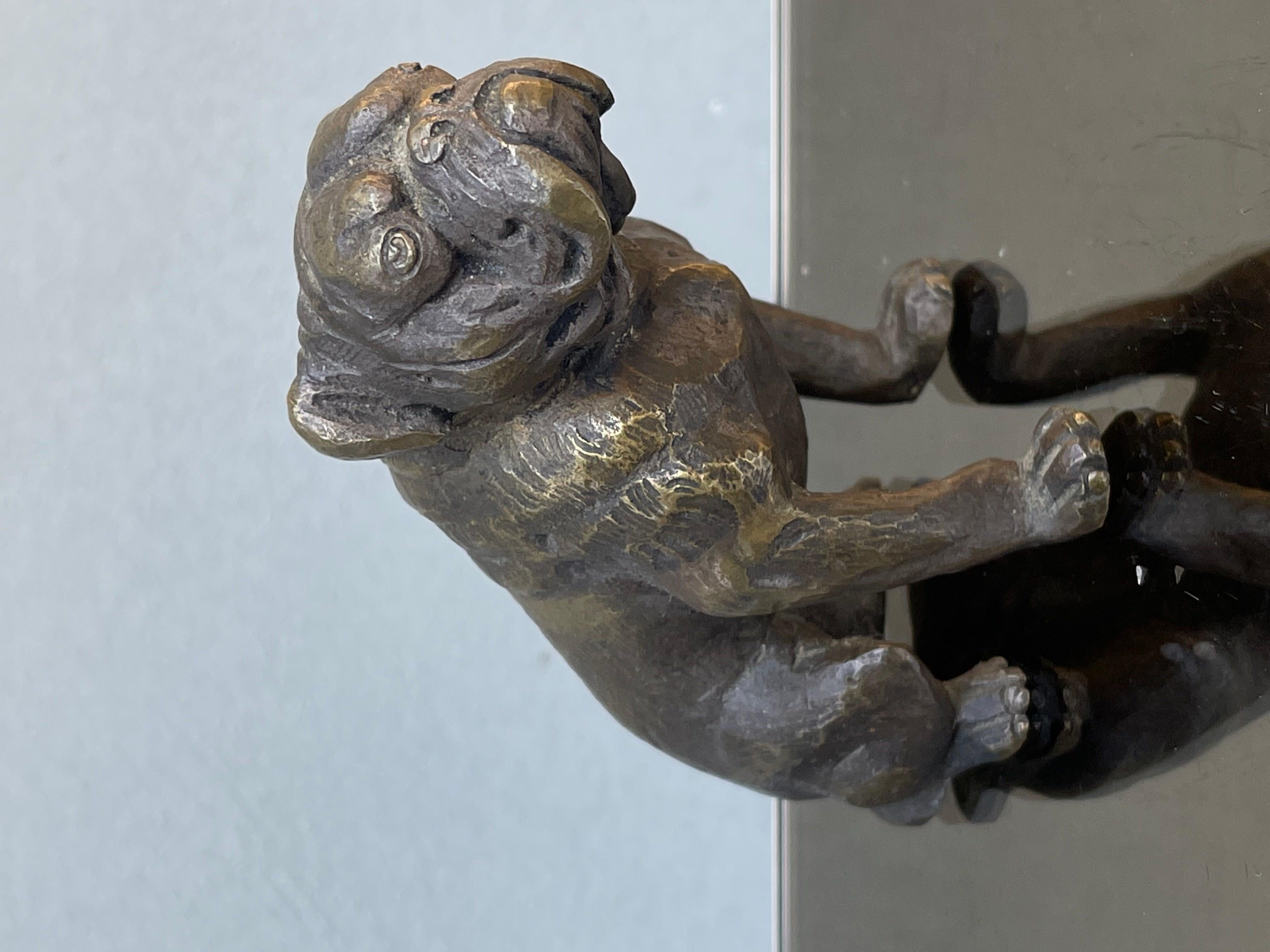 bulldog en bronze - scultura bronzea - bulldog scultura - chien - vintage - xx sec en vente 1