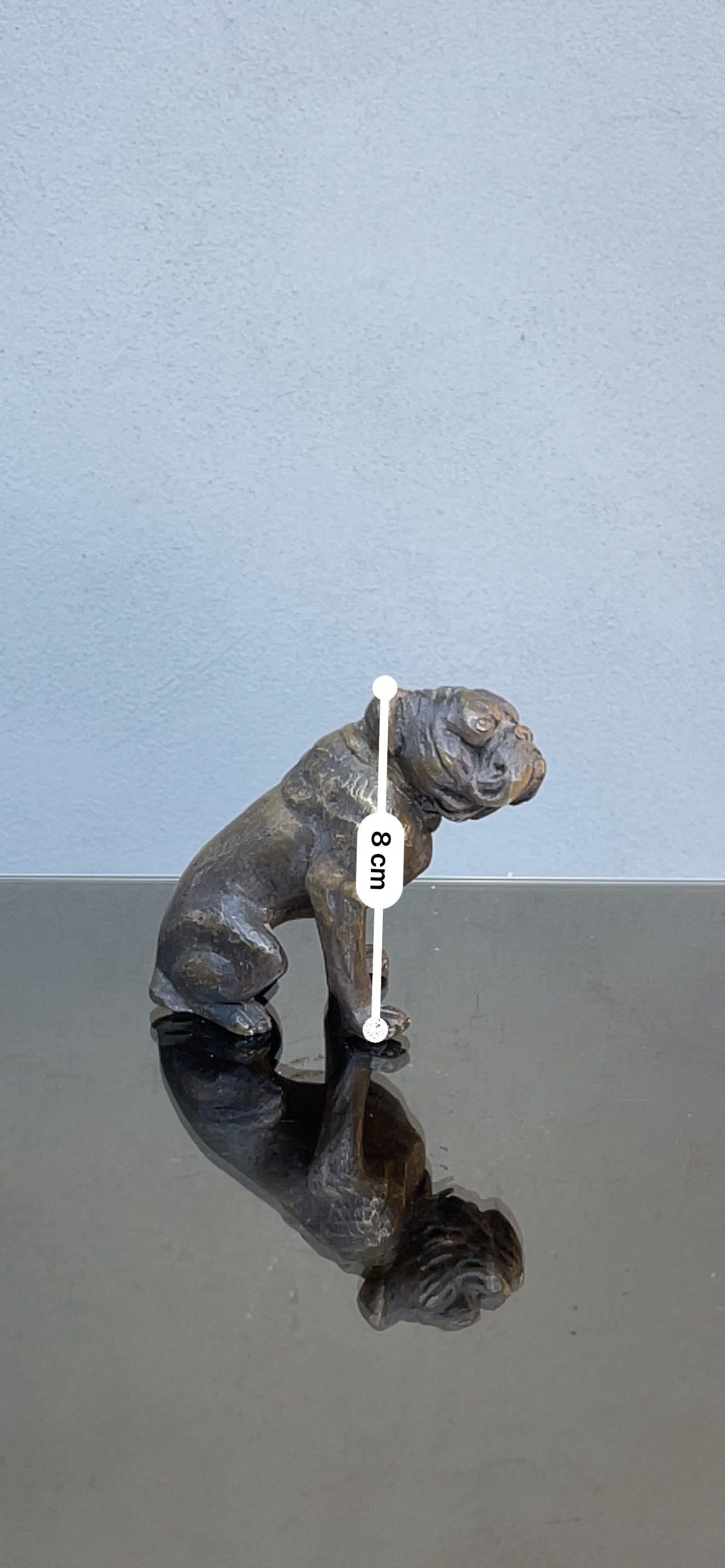 Bulldogge in Bronze - scultura bronzea - Bulldogge scultura - Hund - Vintage - xxsec im Angebot 3
