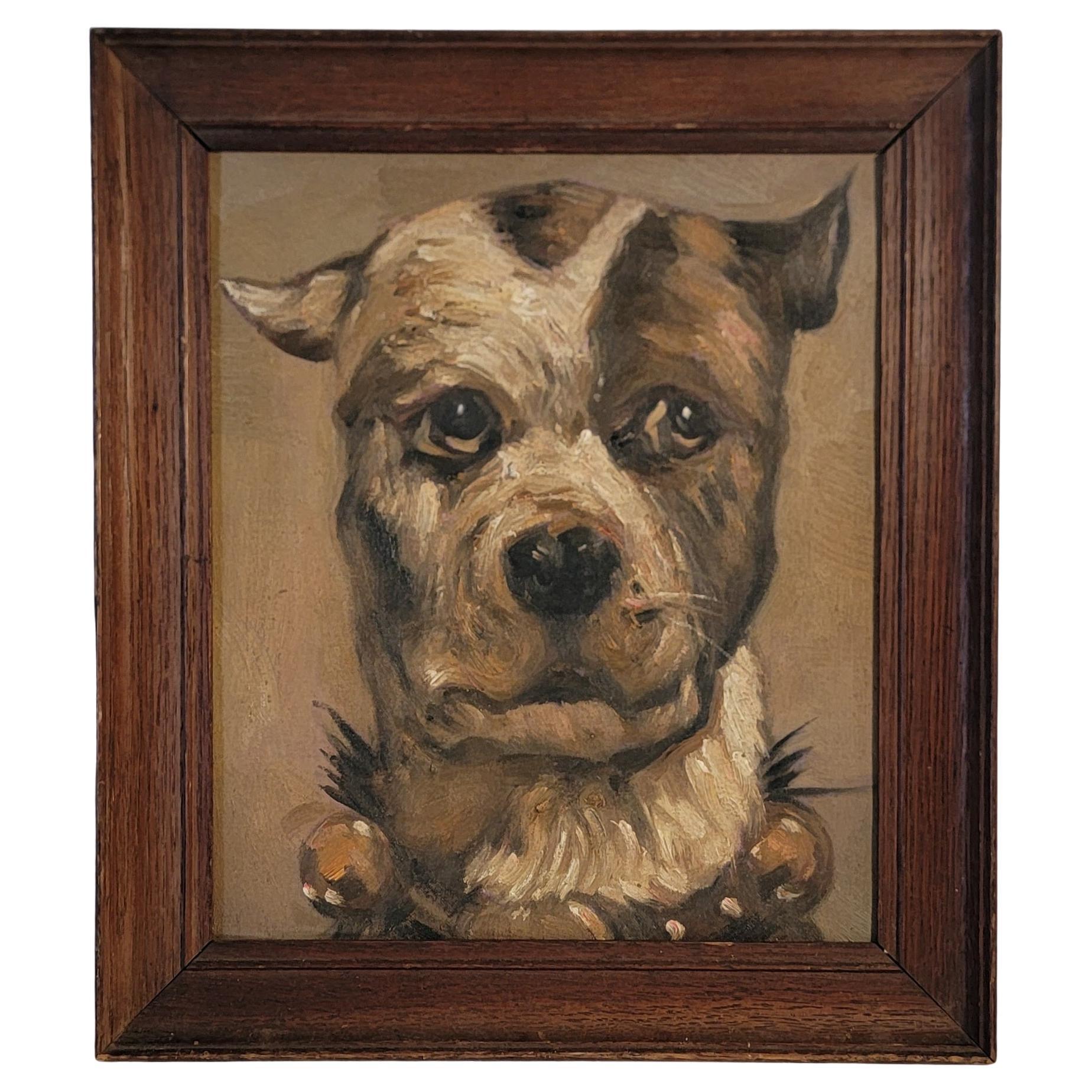 Bulldog or Pit Bull Oil Painting