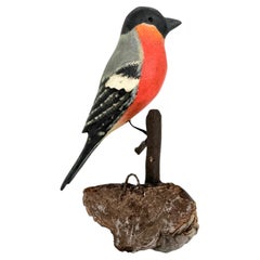 Bullfinch Viechtauer Hand Carved Wood Bird Black Forest Folk Art, Austria, 1920s