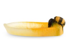 Bumble Bee Vide Poche By Amalric Walter And Henri Bergé