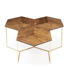 Bumble Nest Coffee Table with Gold Finish Base