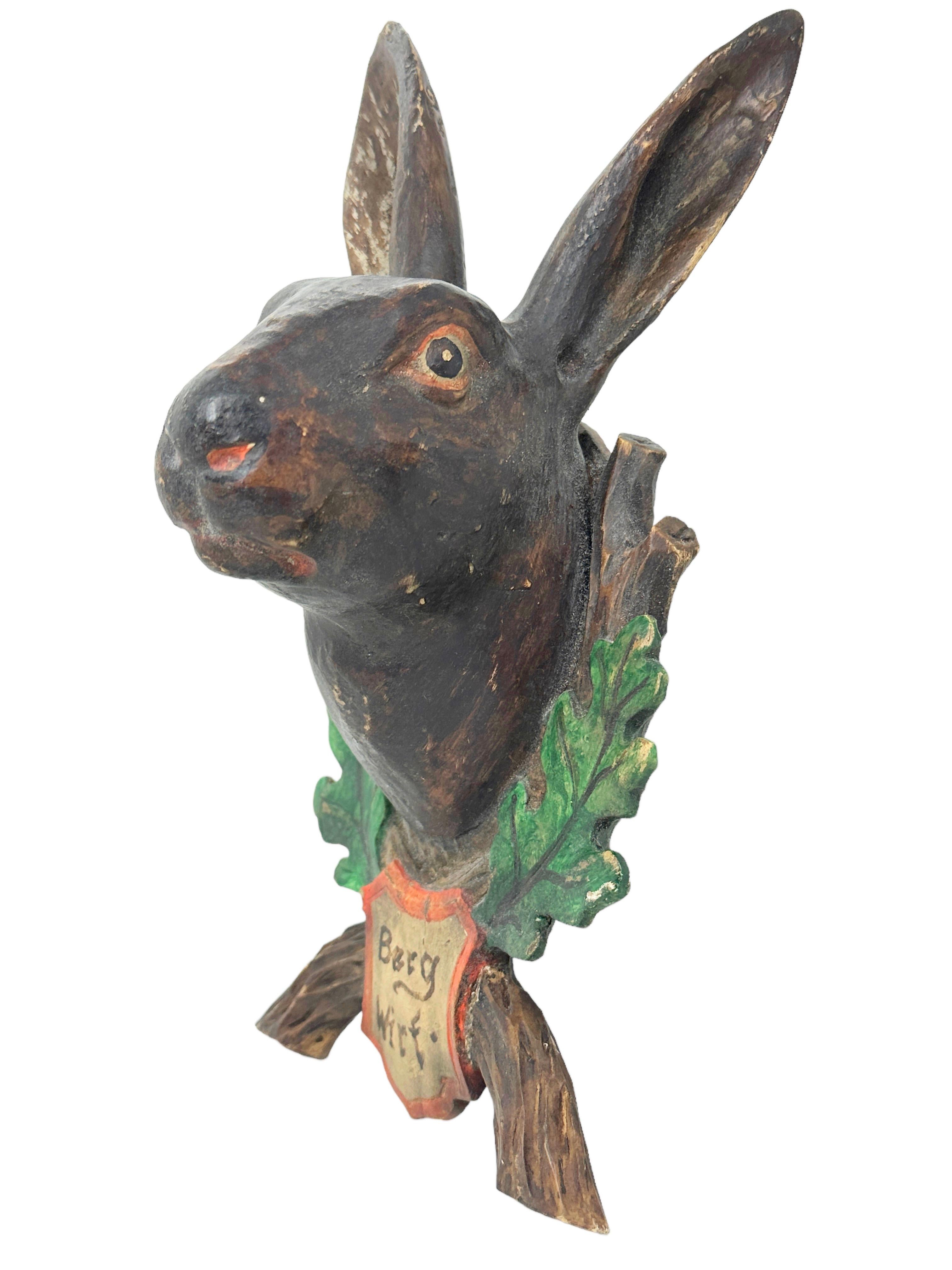 black wild bunny