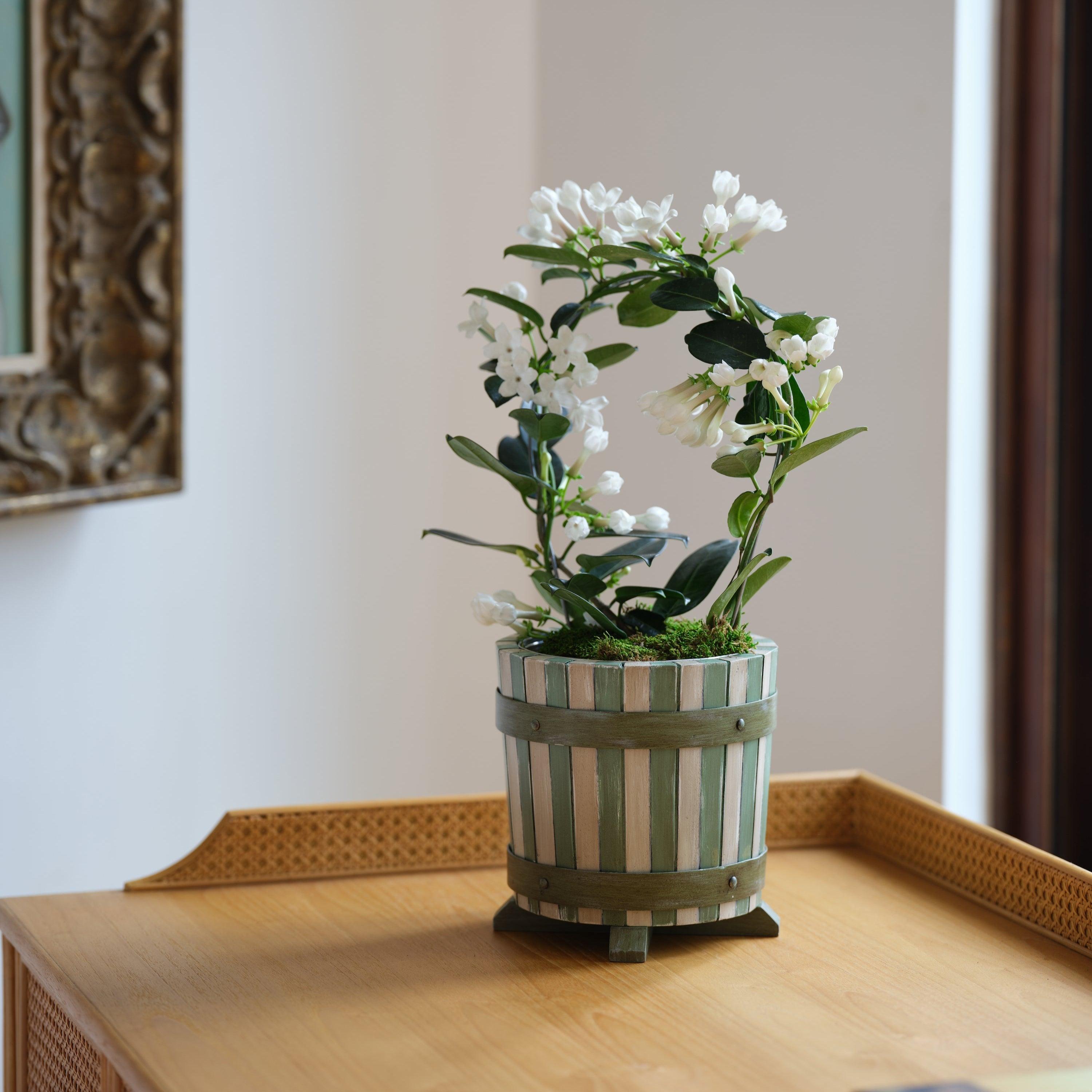 Bunny Williams Home Handbemalter Übertopf mit Streifen im Zustand „Neu“ im Angebot in New York, NY
