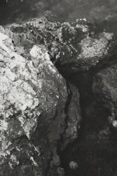 "Bettie on The Rocks", 1954, Gelatin Silver Print