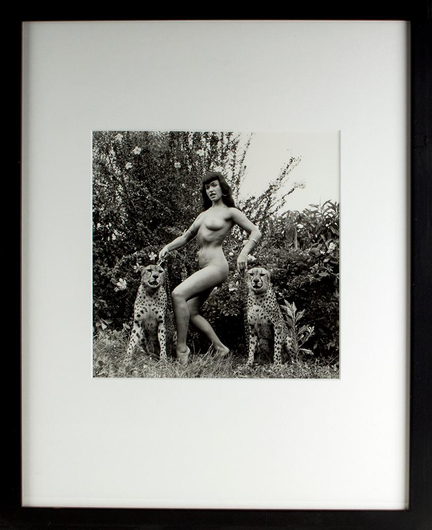 Bettie Page and Cheetahs (Jungle Bettie) - Photograph by Bunny Yeager