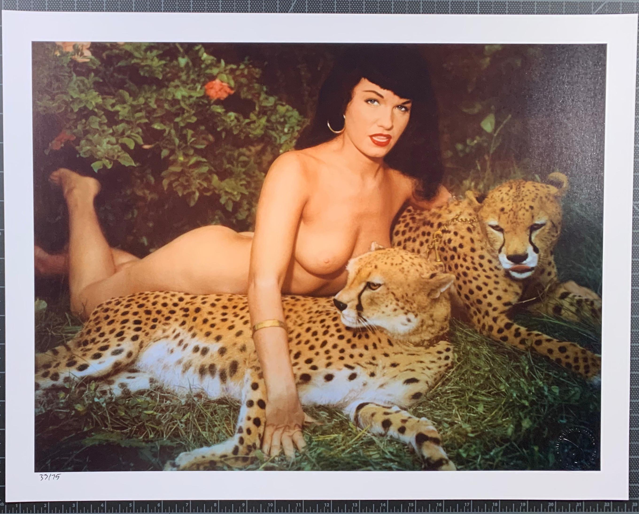 kaya cheetah poster