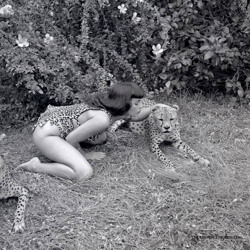 Bunny Yeager Figurative Photograph - Bettie Page with Cheetahs