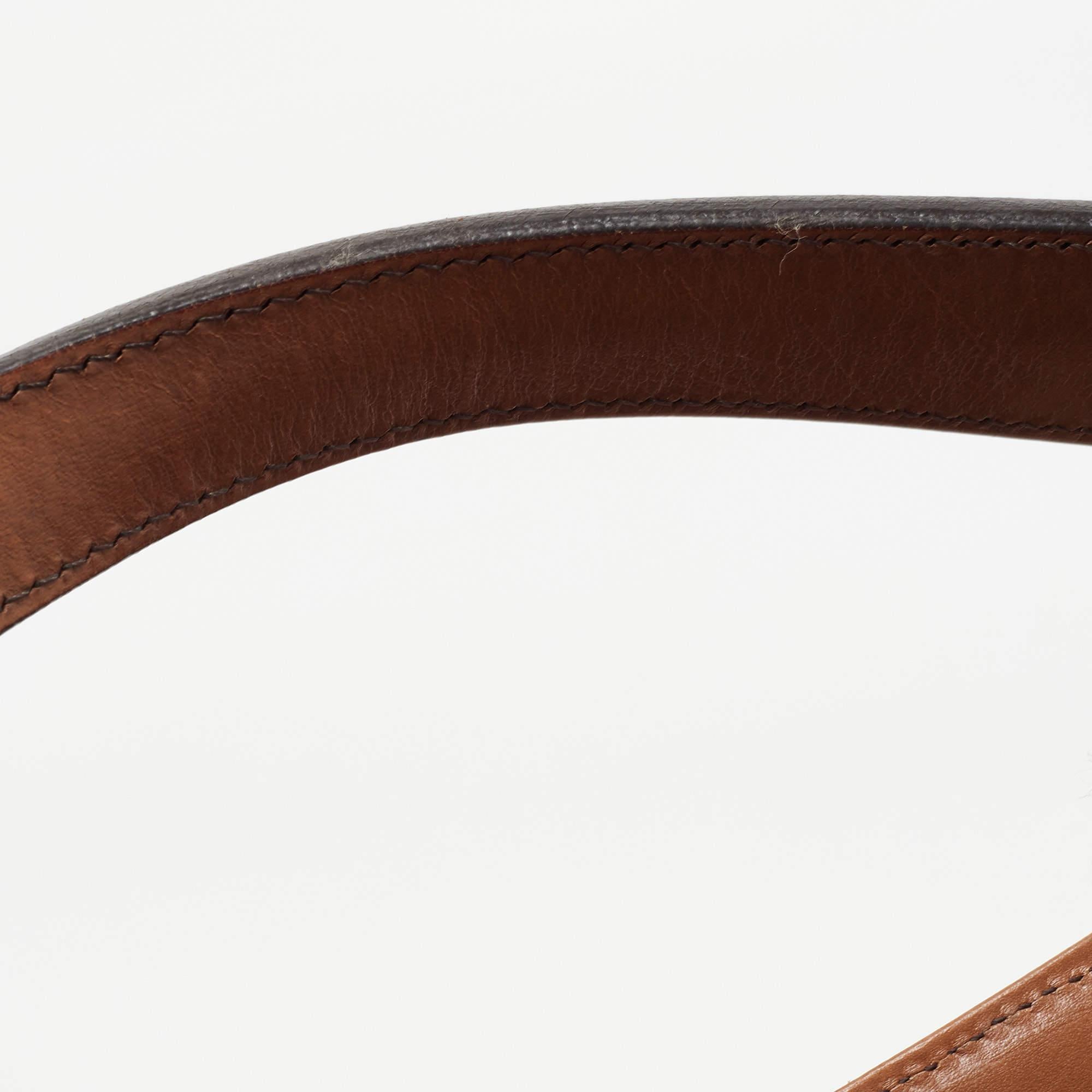 Burberry Brown Leather Small Bridle Dutton Hobo 13