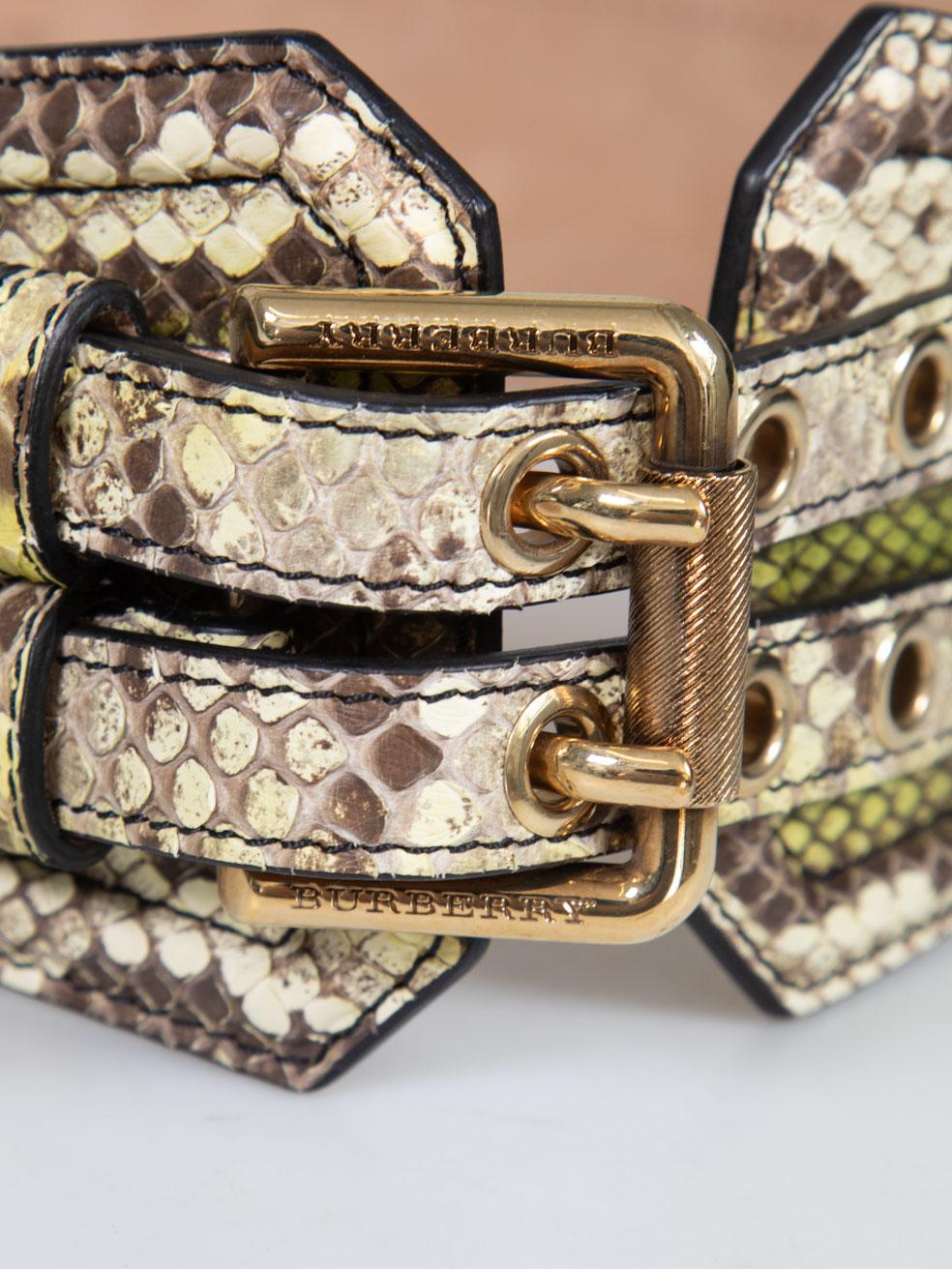 Burberry Green Snakeskin Wide Belt For Sale 1