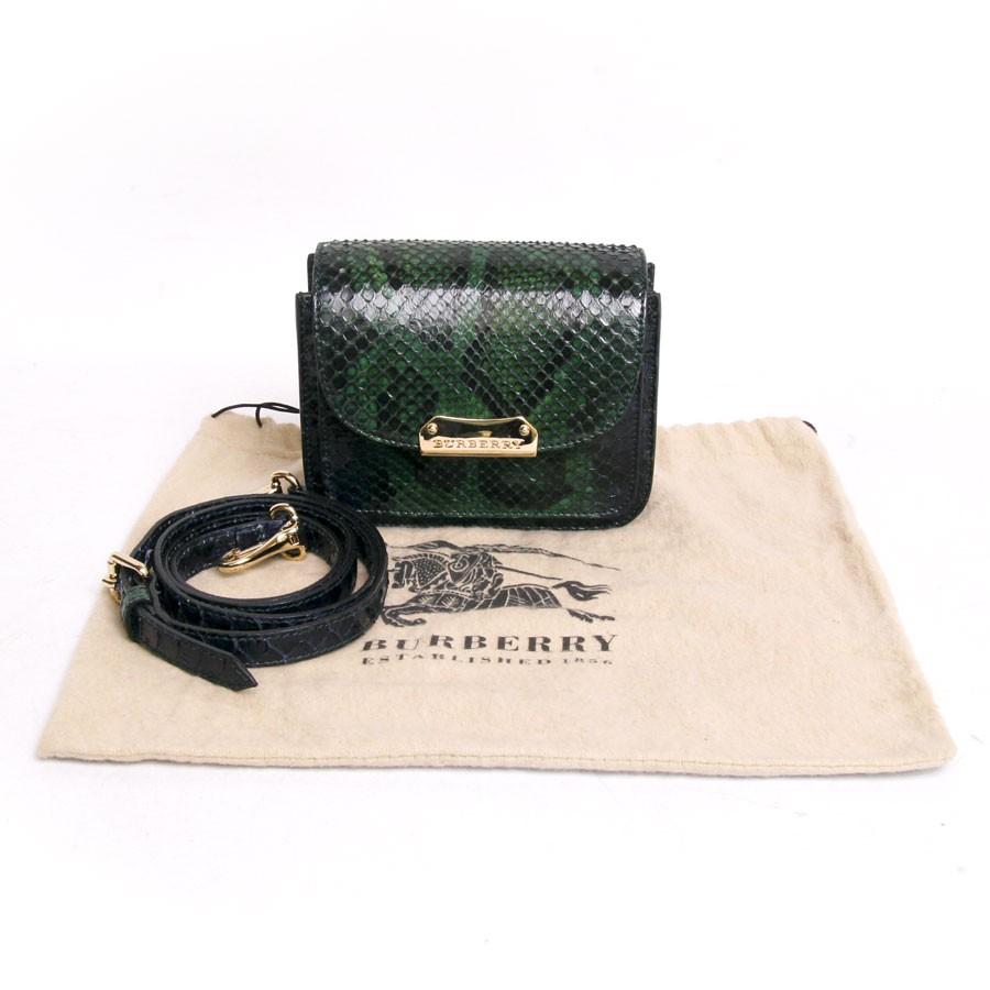 Burberry Mini Green Python Bag For Sale 1