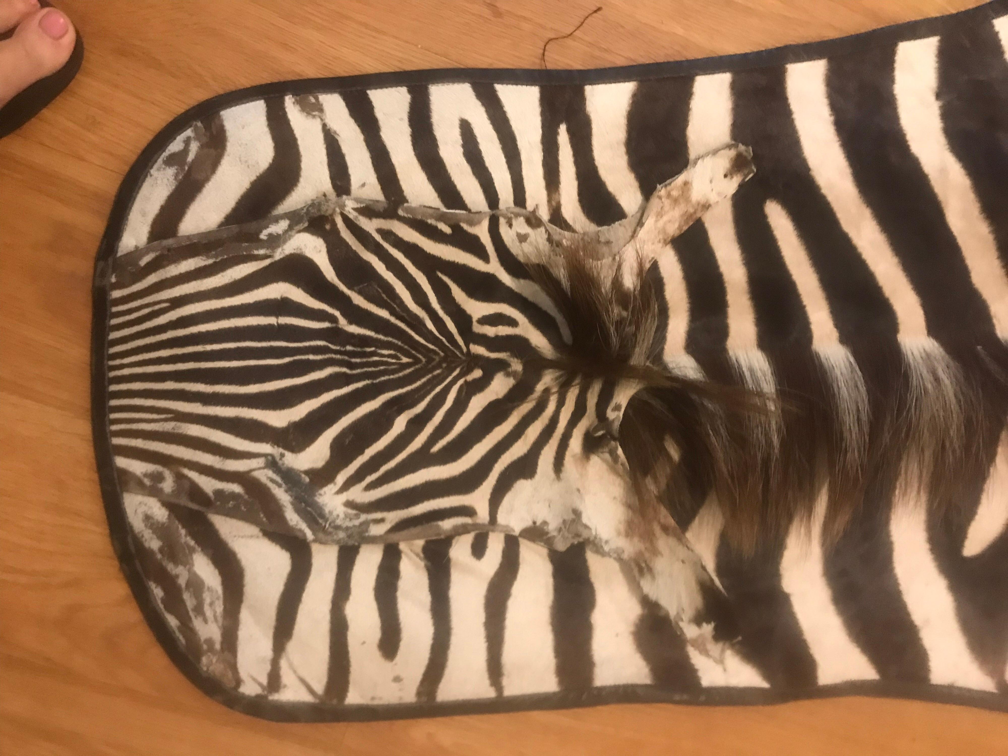 Burchell African Zebra Rug In Fair Condition In Chicago, IL