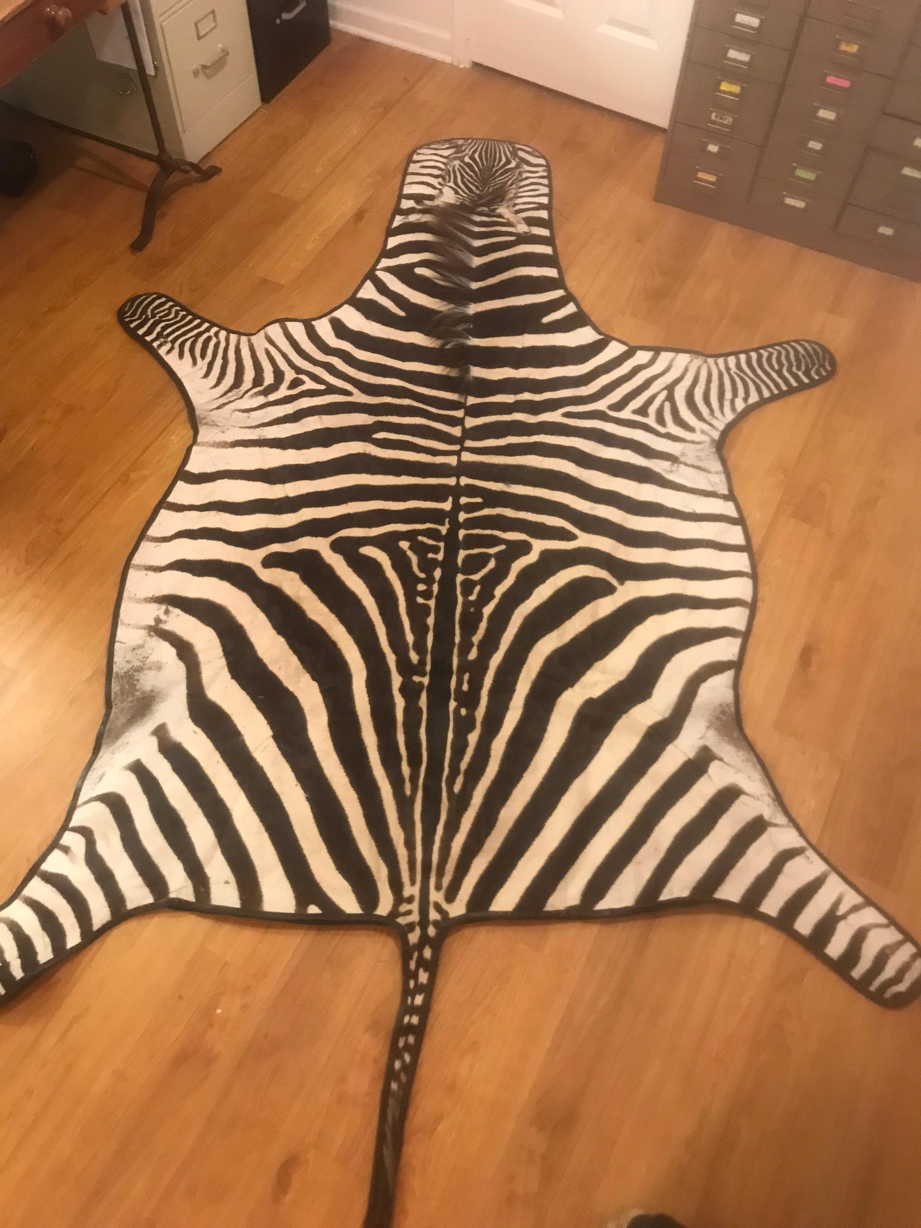 This zebra rug has been backed in a black cloth material and the edge of it is lined in black leather It has been mended in areas where the animal has taken a hit It is a very pliable skin and overall is very nice looking.