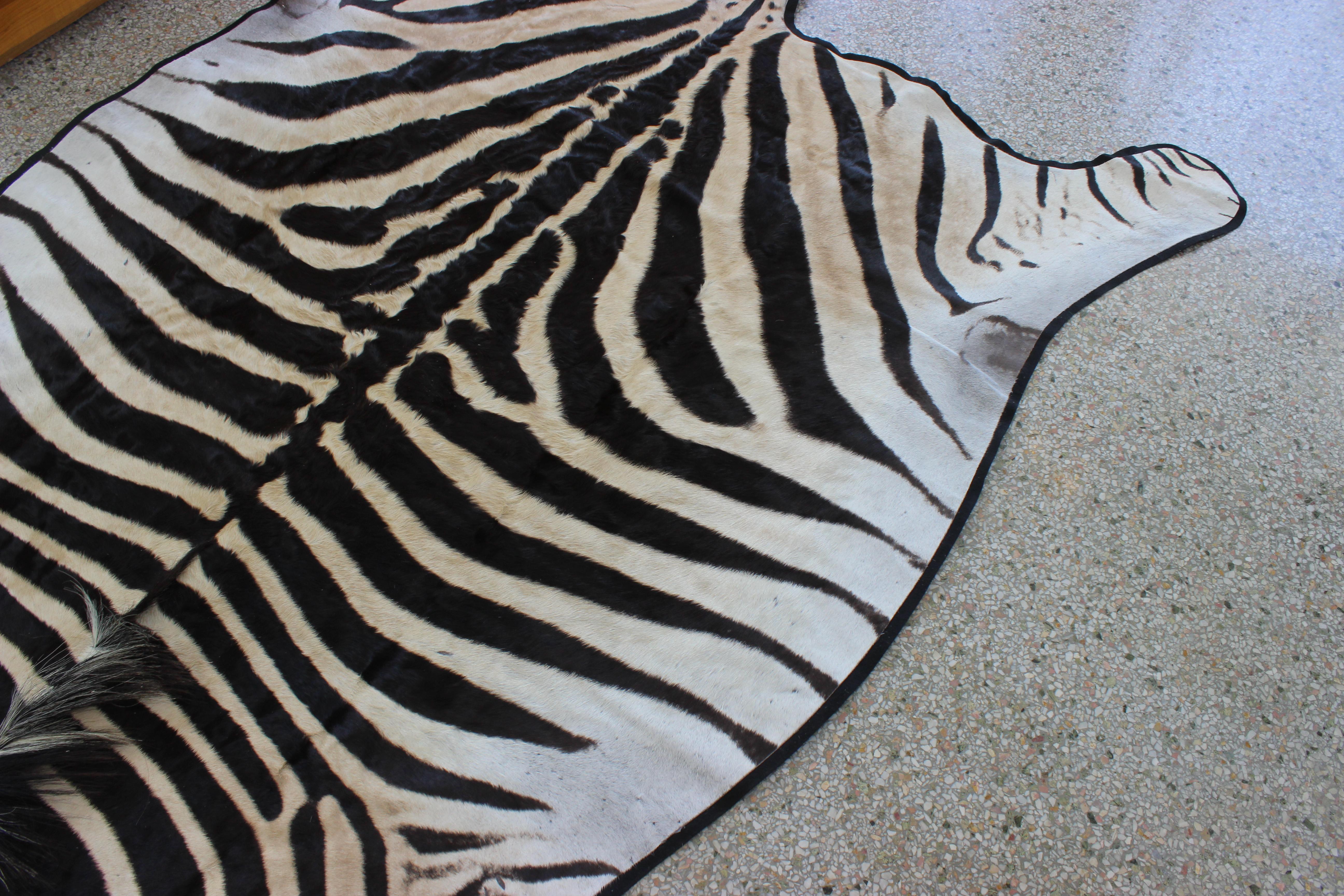 Burchell Zebra Hide at 1stDibs