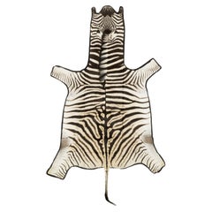 Burchell Zebra Rug