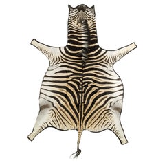 Burchell Zebra Rug
