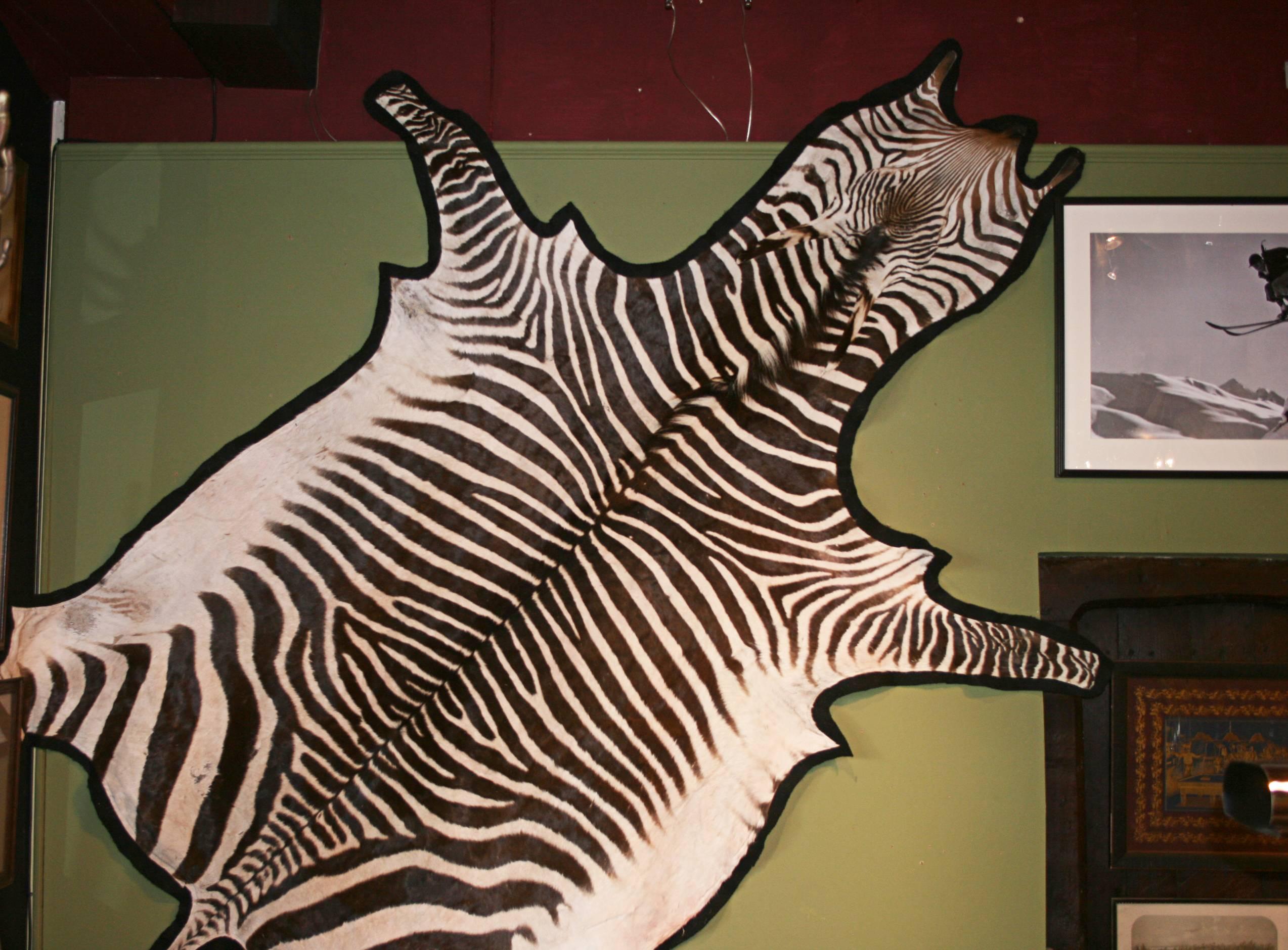 zebra skin on wall