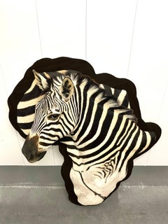 Zebra Taxidermy Display Mount on Exotic Kiaat Wood Wall Art